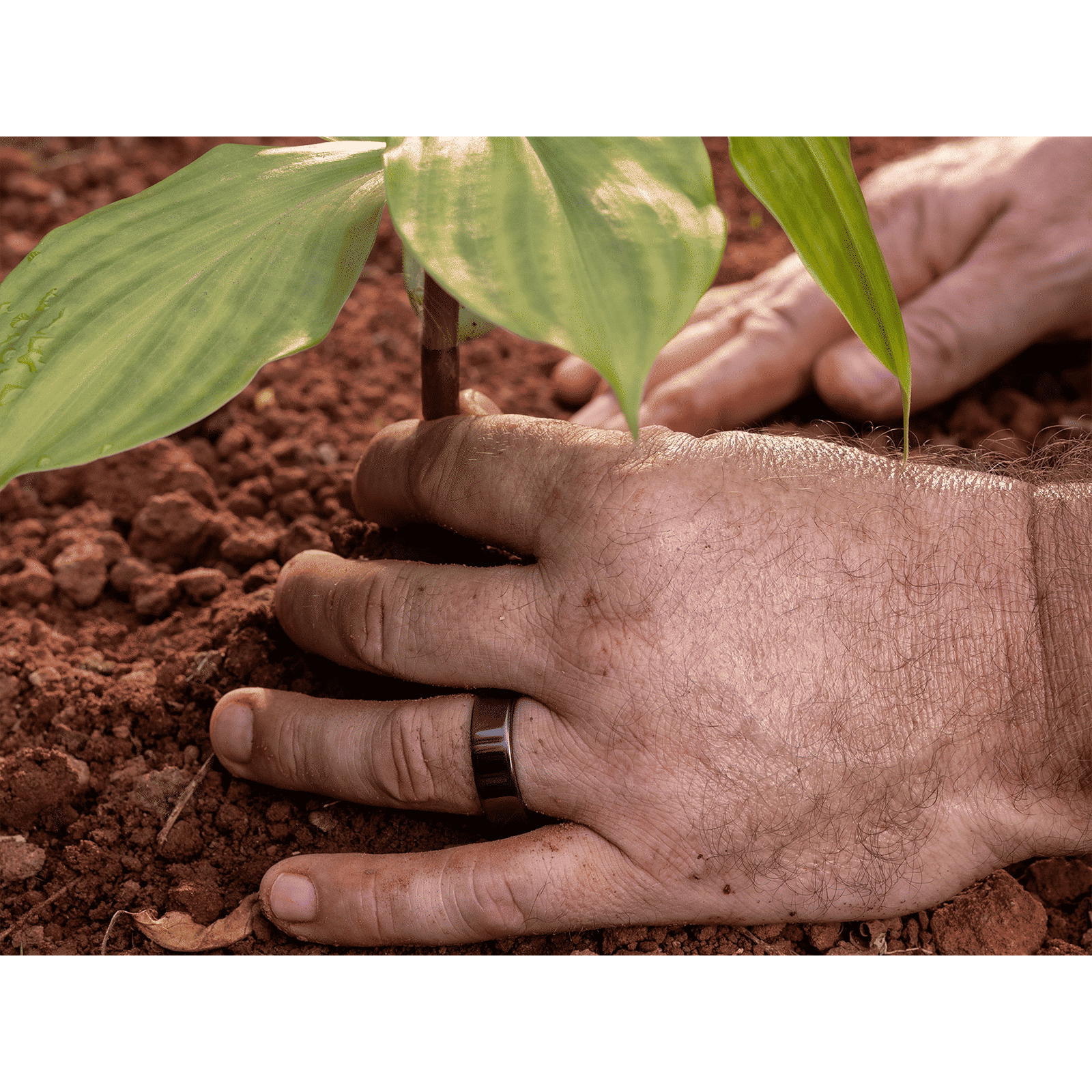 Ultrahuman Ring Air Smart Ring with Activity Tracker (Size 8, Upto 100 Meter Water Resistant, Aster Black)_11