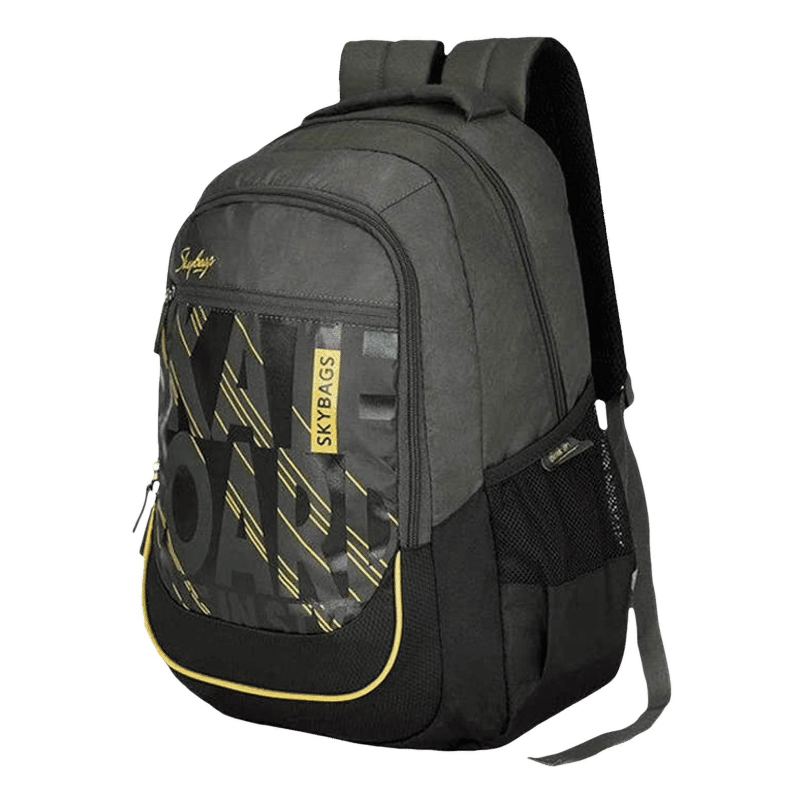 Skybags Arthur Polyester Laptop Backpack for 15 Inch Laptop (30L, Padded Shoulder Straps, Black) Skybags Arthur Polyester Laptop Backpack for 15 Inch Laptop (30L, Padded Shoulder Straps, Black)_5