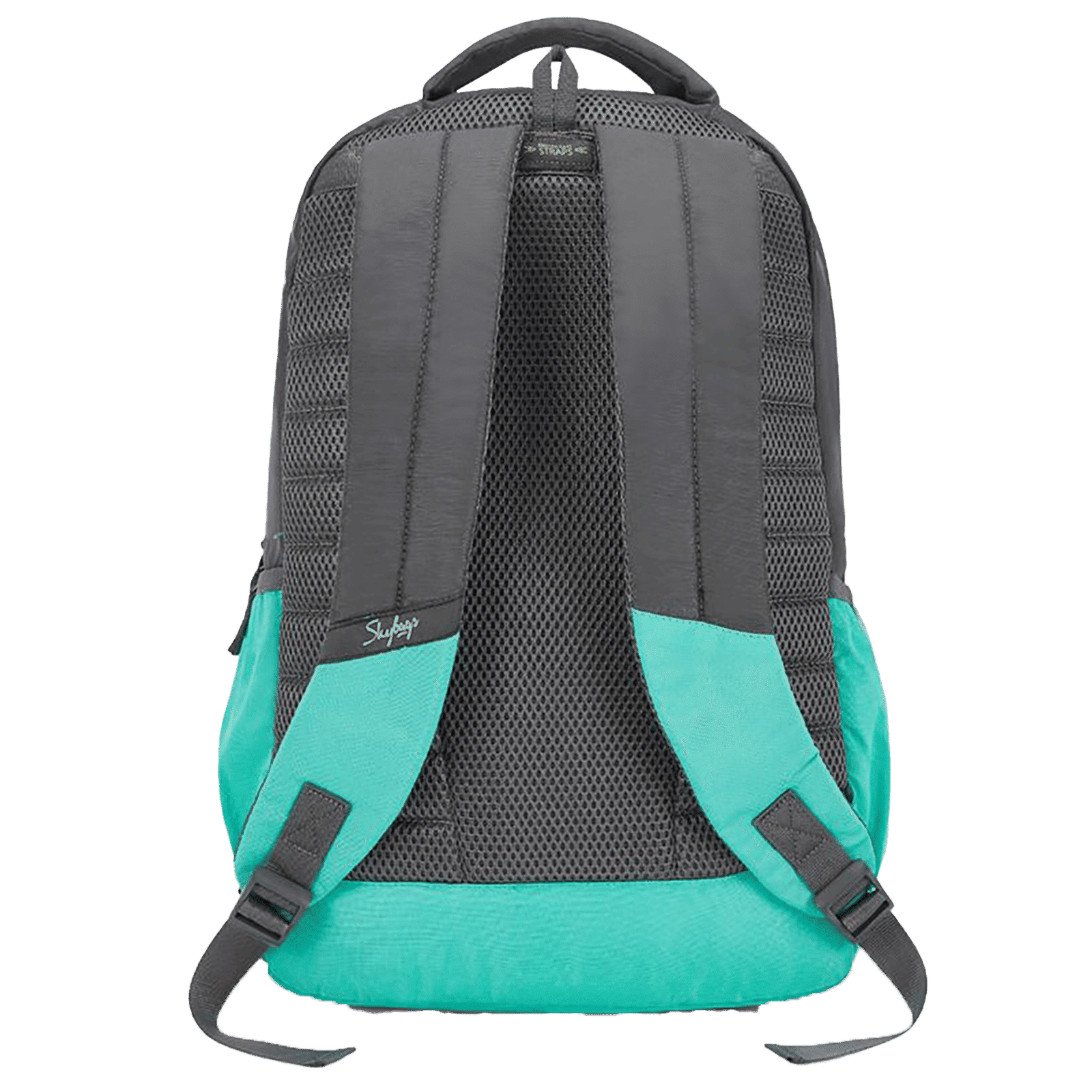 Skybags BFF 3 Polyester Laptop Backpack (28 L, Water Resistant, Grey)_9