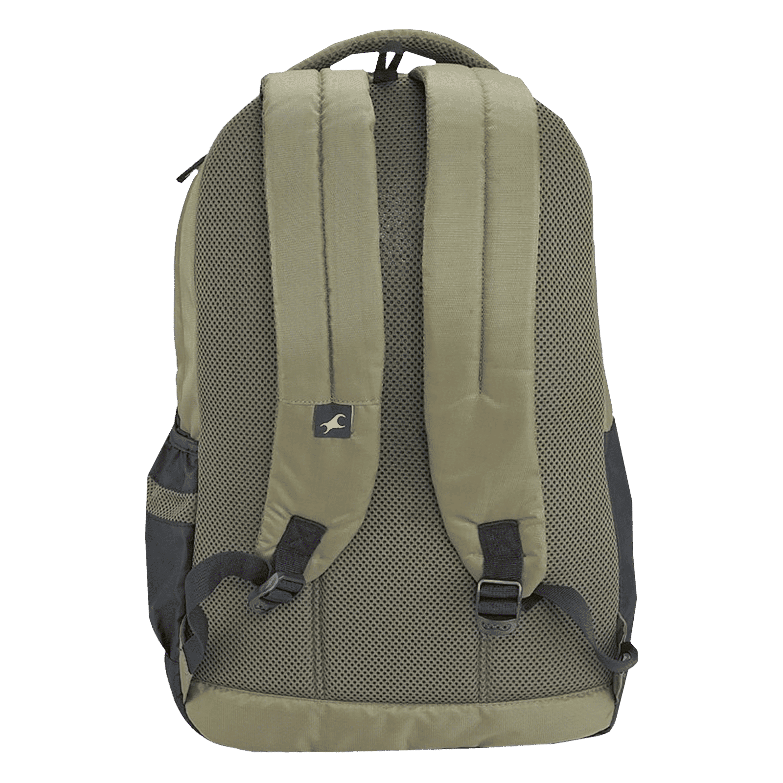 fastrack Alpha Ergolight Campus 35 Litres Polyester Backpack (Back Padding, A0786NOL01, Olive)_5