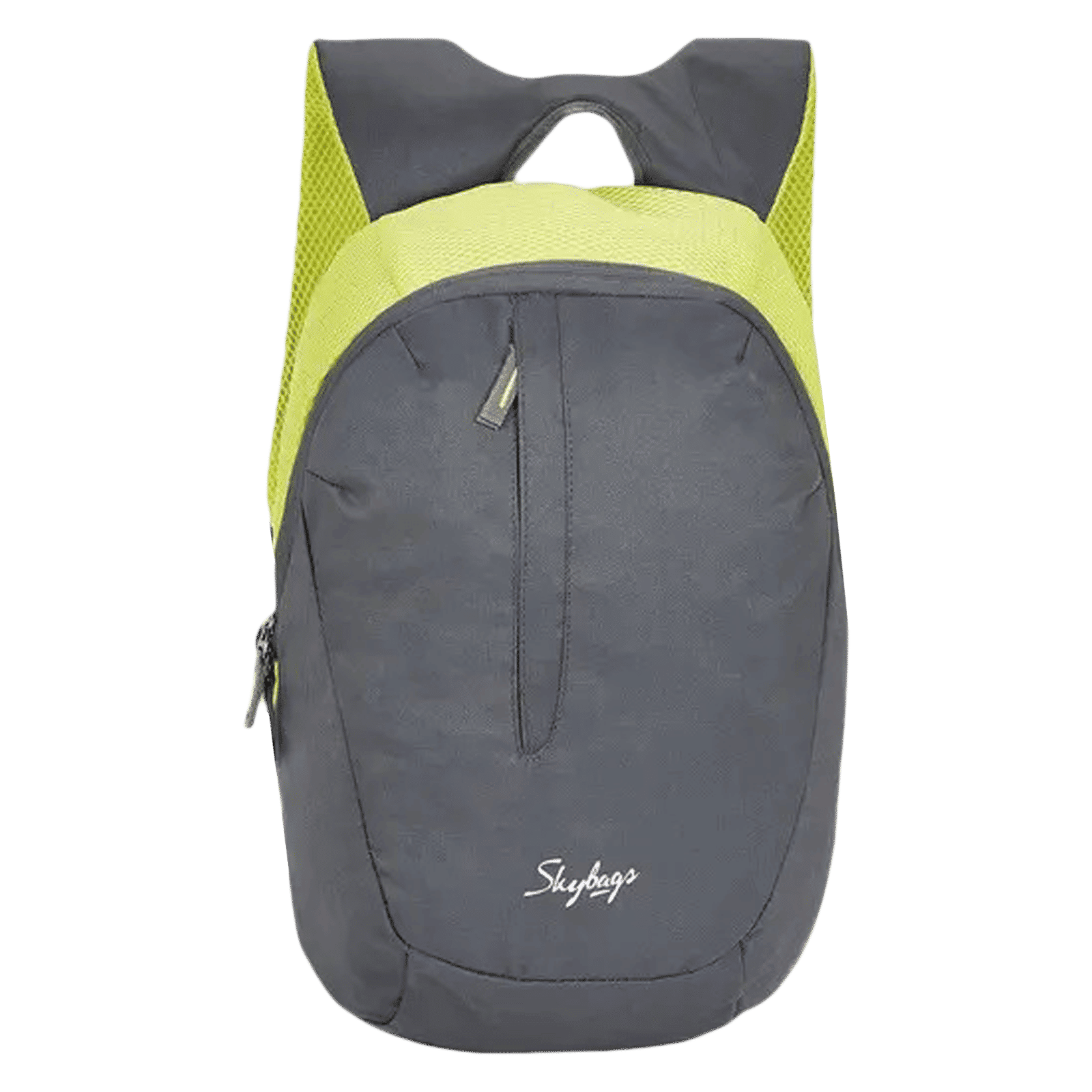 Skybags Zuke Backpack (Padded Shoulder Strap, BPZUK2GRY, Grey)_1