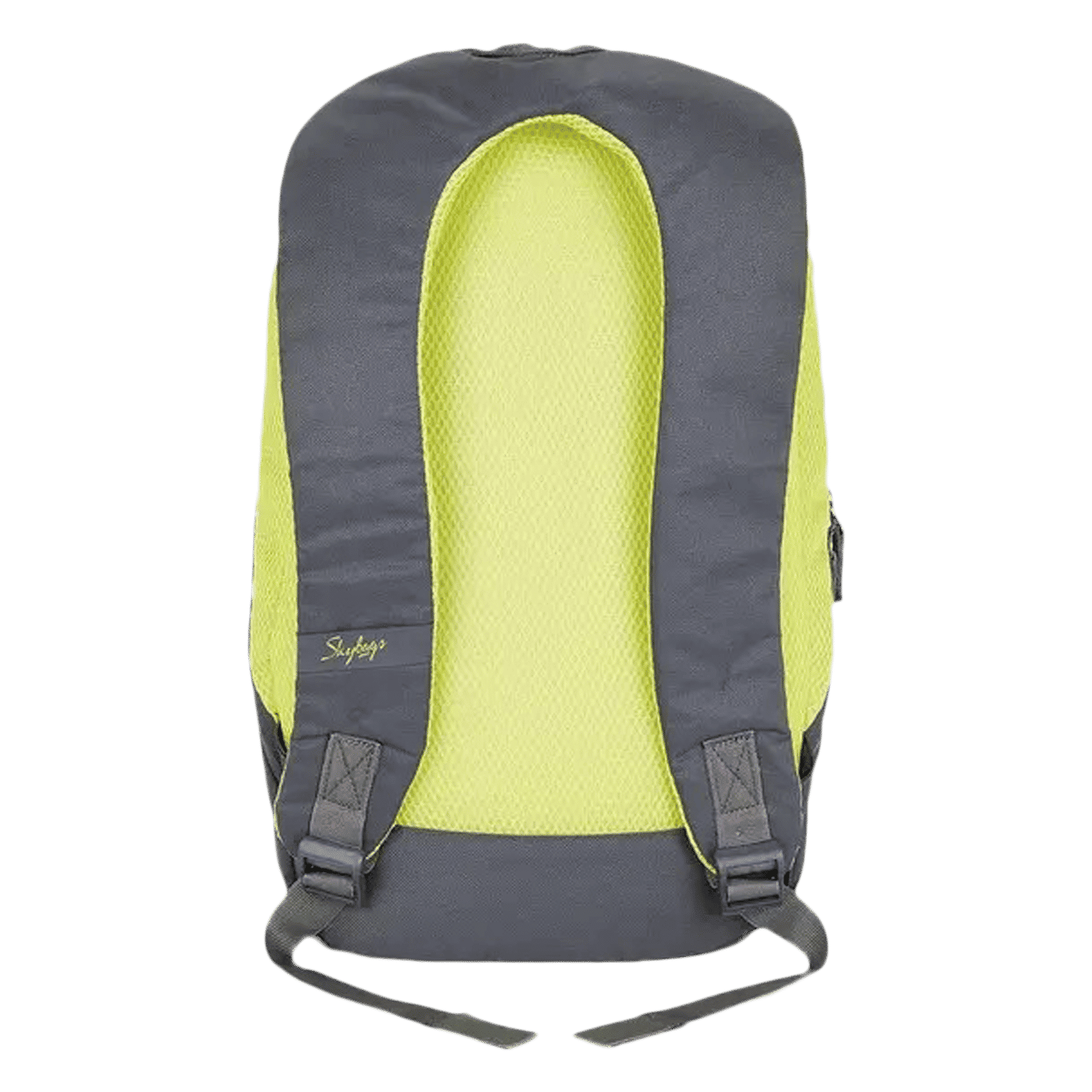 Skybags Zuke Backpack (Padded Shoulder Strap, BPZUK2GRY, Grey)_5