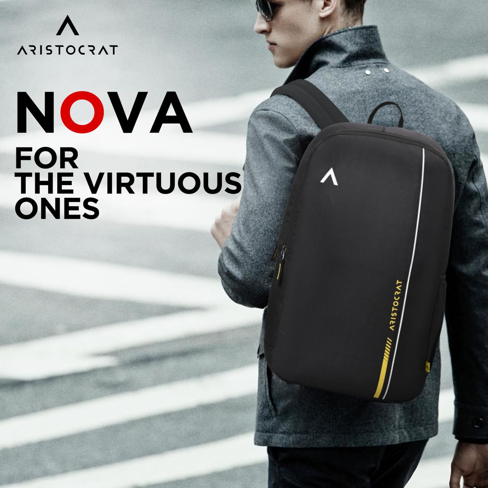 ARISTOCRAT NOVA 500D Fabric Laptop Backpack for 14 Inch Laptop (15 L, Premium Interior Lining, Black)_12