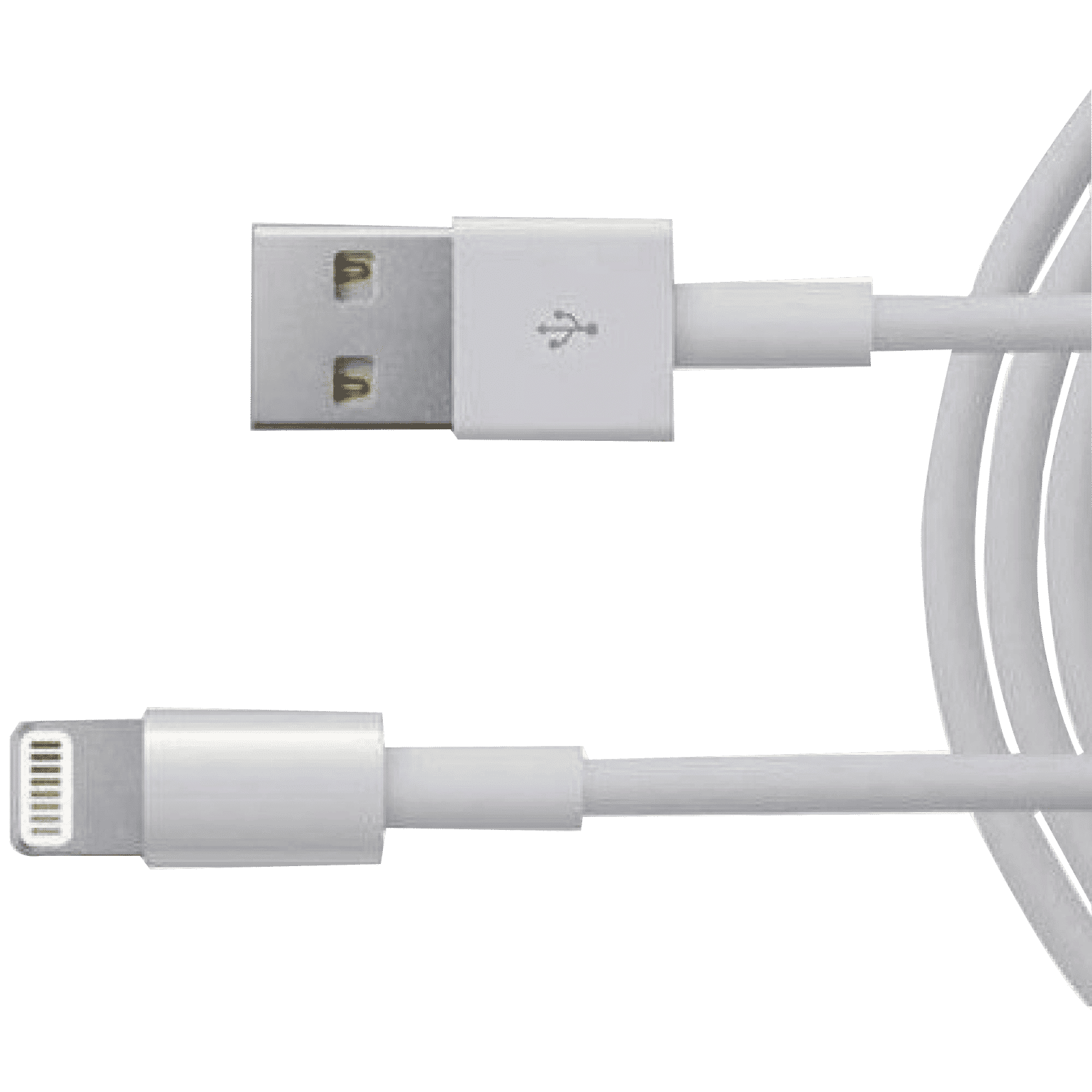 Apple Type A to Lightning 3.3 Feet (1M) Cable (Sync and Charge, White)_1