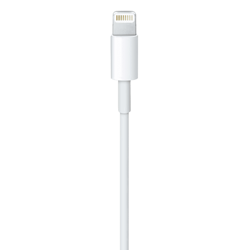 Apple Type A to Lightning 3.3 Feet (1M) Cable (Sync and Charge, White)_2