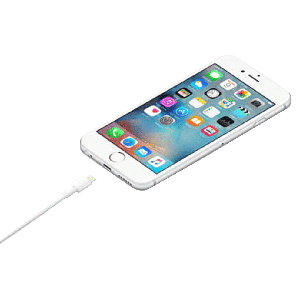 Apple Type A to Lightning 3.3 Feet (1M) Cable (Sync and Charge, White)_3