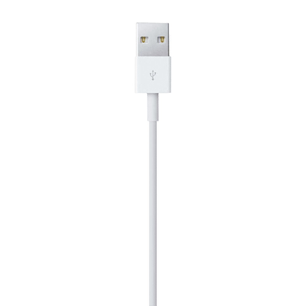 Apple Type A to Lightning 3.3 Feet (1M) Cable (Sync and Charge, White)_4