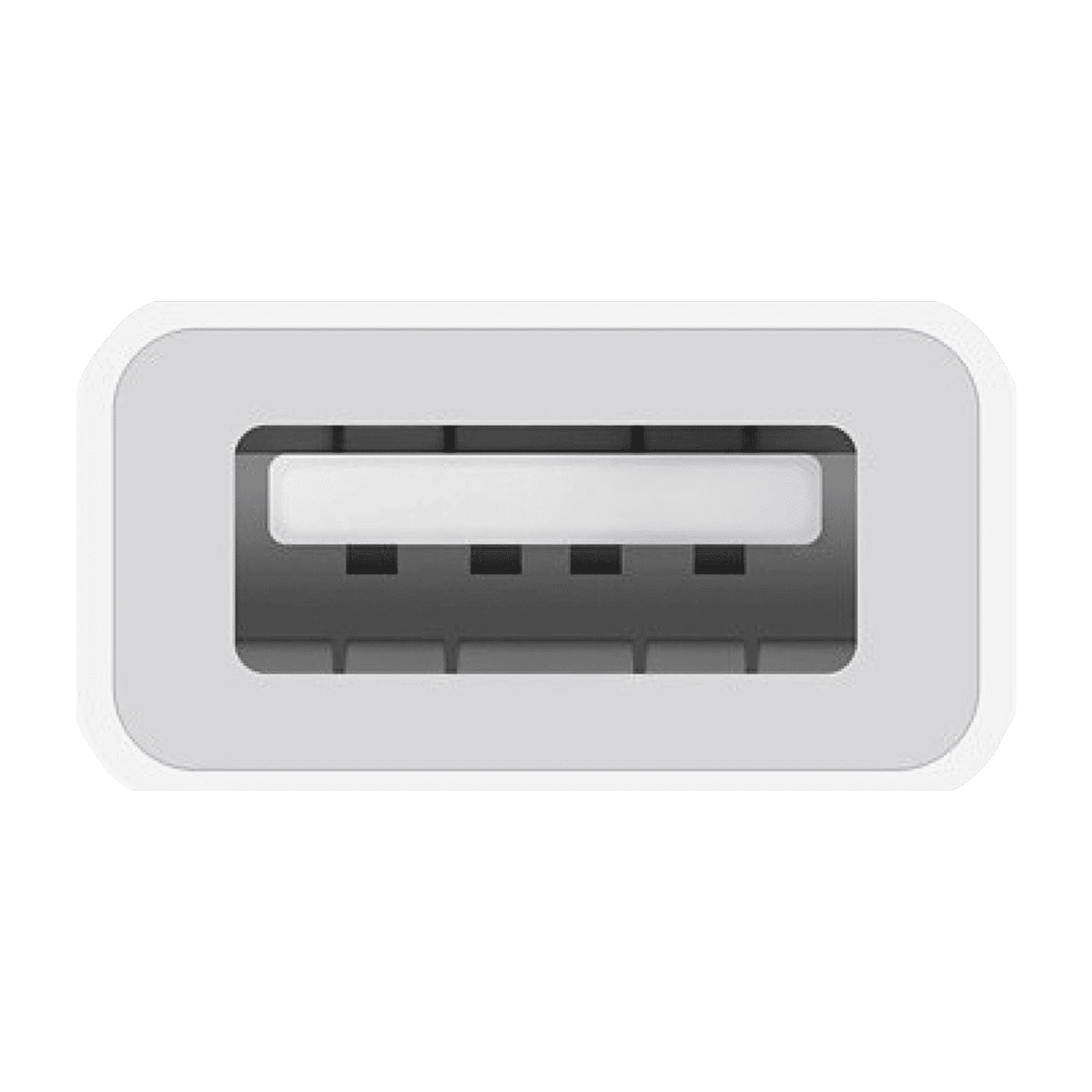 Apple USB to Type C 0.65 Feet (0.2M) Adapter (Sync and Charge, White) Apple USB to Type C 0.65 Feet (0.2M) Adapter (Sync and Charge, White)_2