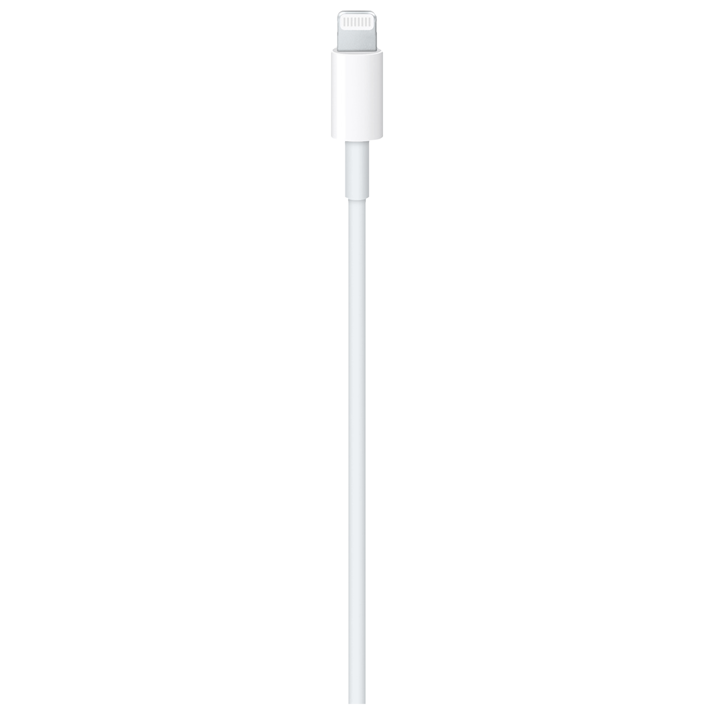 Apple Type C to Lightning 3.3 Feet (1M) Cable (Sync and Charge, White)_2
