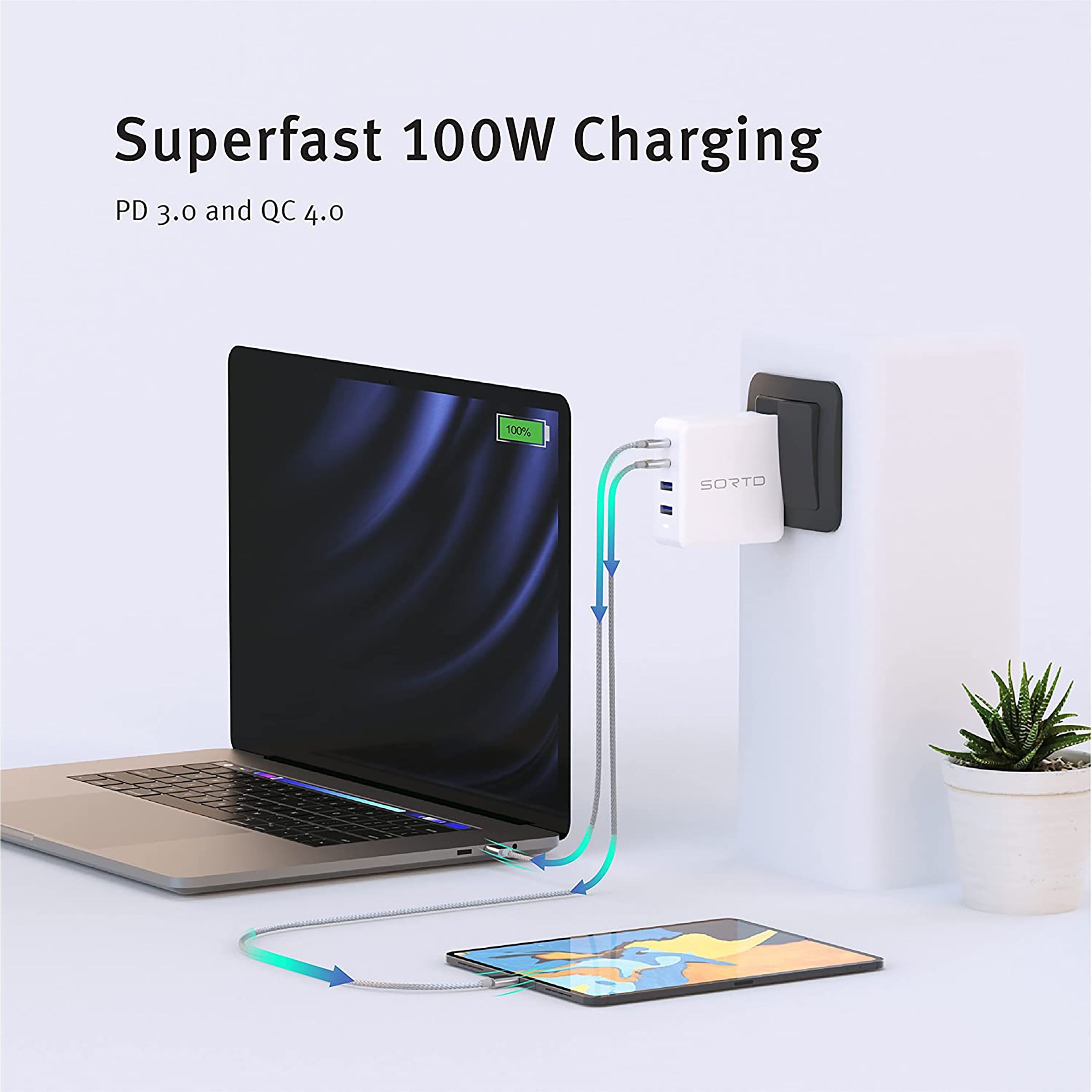 Sortd Type C to Type C 3.3 Feet (1M) Cable (In-Build Smart E Marker Chip, Grey)_5