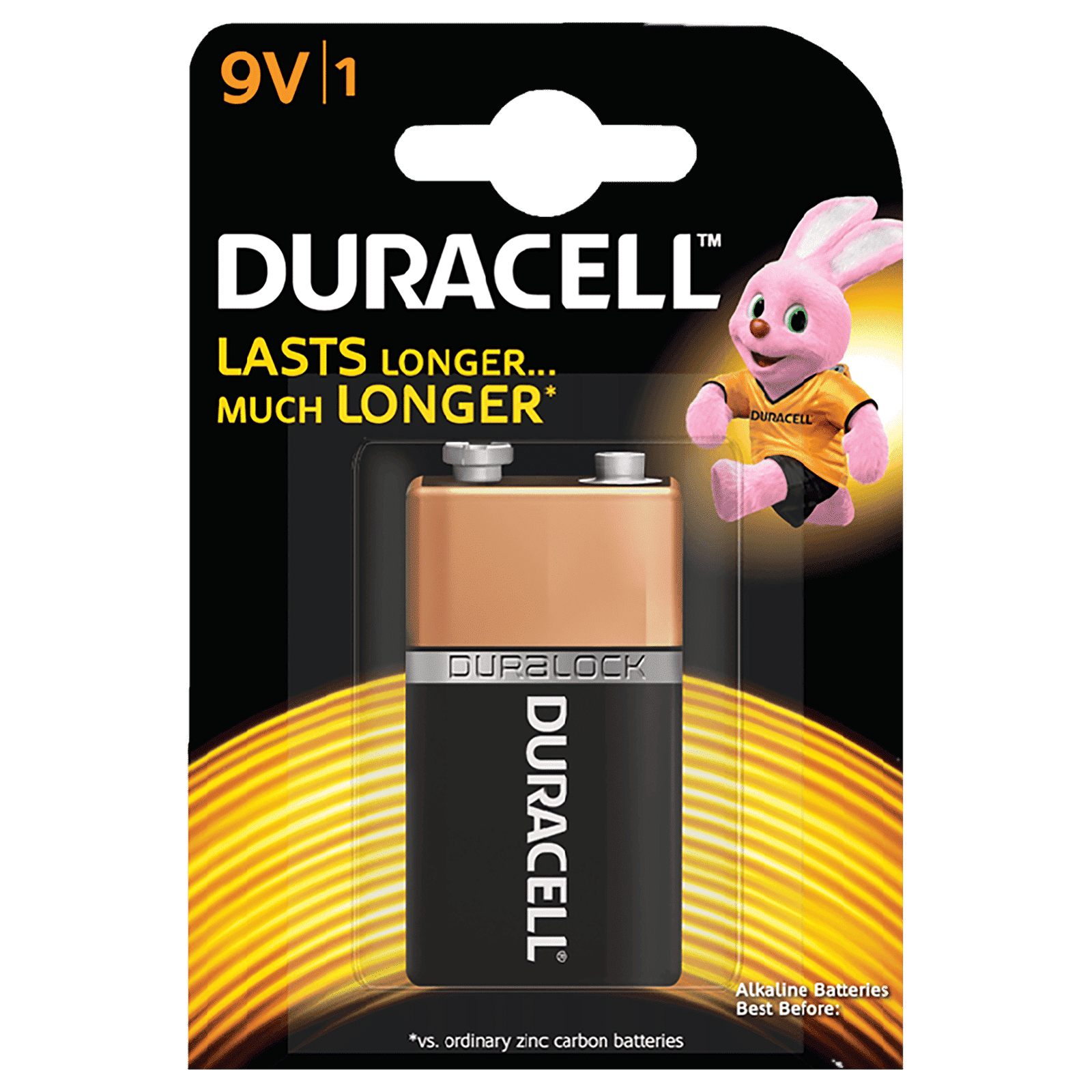 DURACELL Basic Alkaline Rechargeable Battery_1