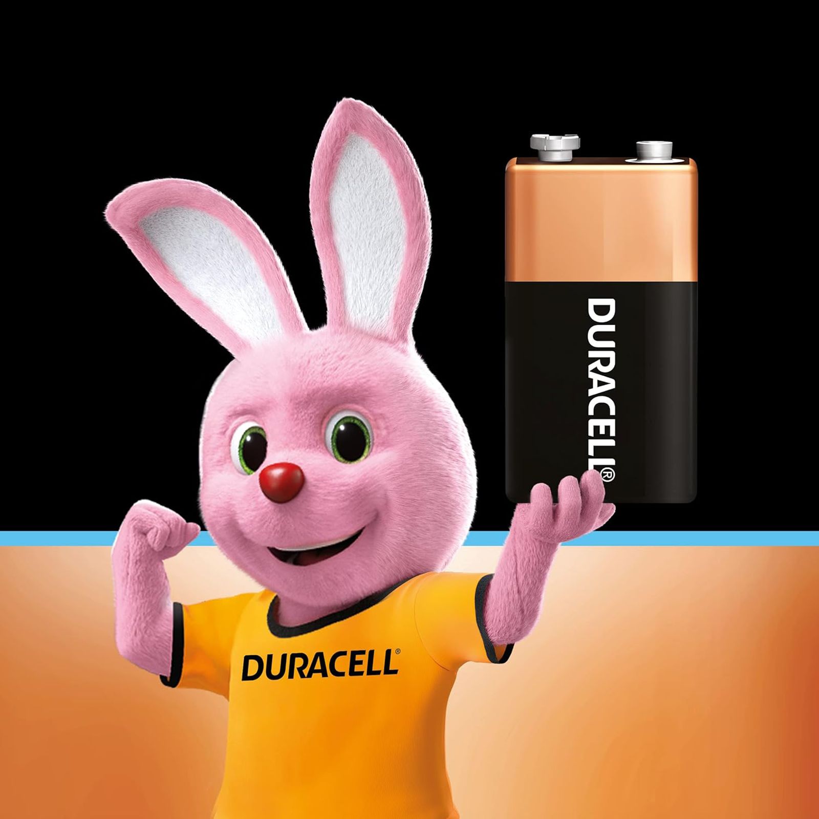 DURACELL Basic Alkaline Rechargeable Battery_3