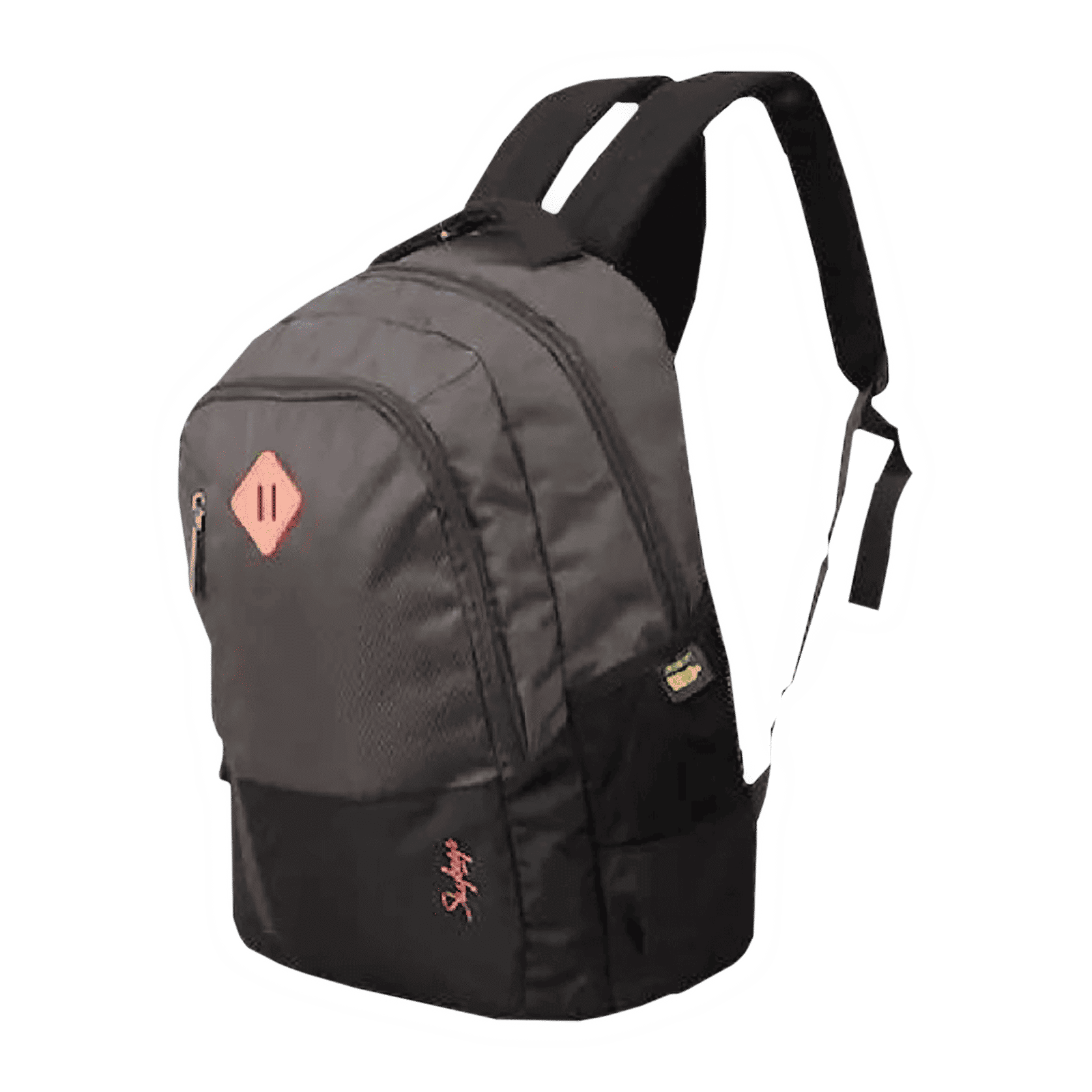 Skybags Arthur Polyester Laptop Backpack for 15.4 Inch Laptop (30 L, Waterproof, Grey)_8