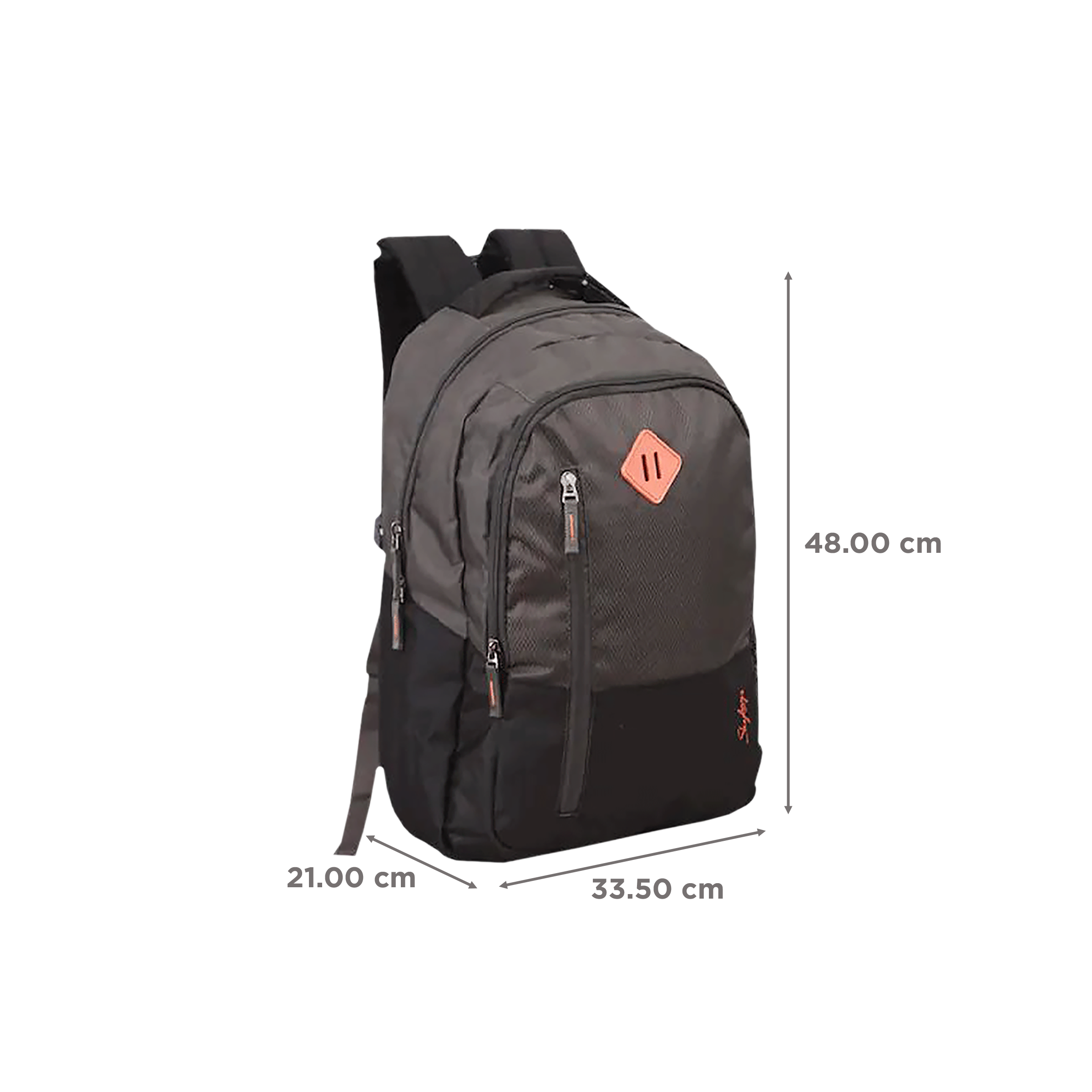 Skybags Arthur Polyester Laptop Backpack for 15.4 Inch Laptop (30 L, Waterproof, Grey)_3