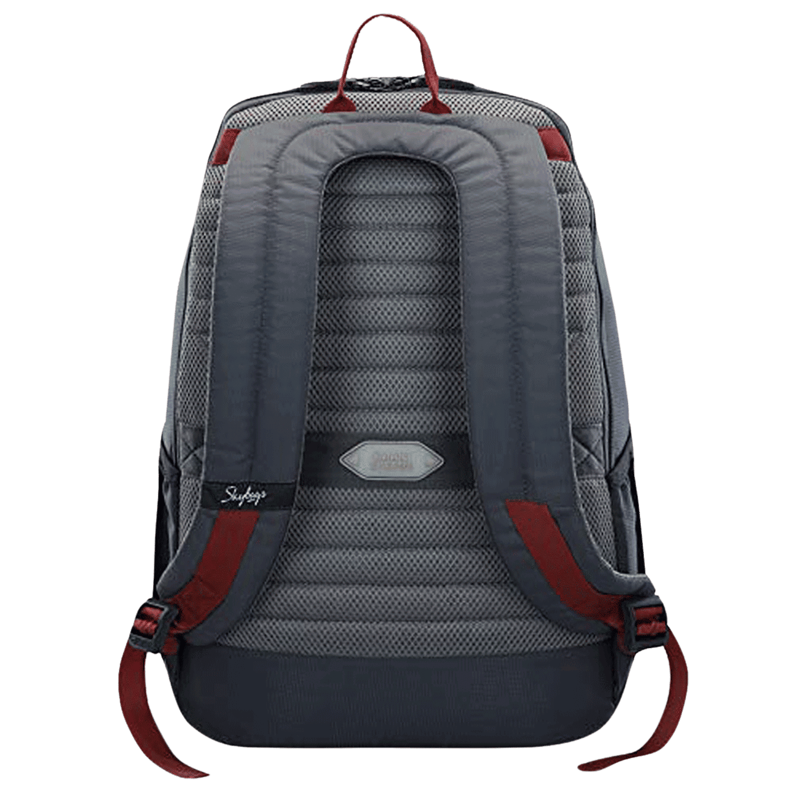 Skybags Yolo Polyester Laptop Backpack for 15.6 Inch Laptop (25 L, Water Resistant, Grey)_4