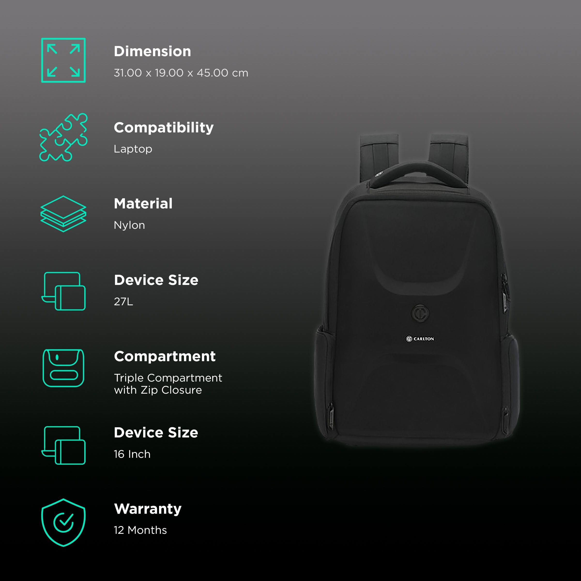 Carlton Dorset 01 Nylon Laptop Backpack for 16 Inch Laptop (27 L, With Rain Cover, Jet Black)_2