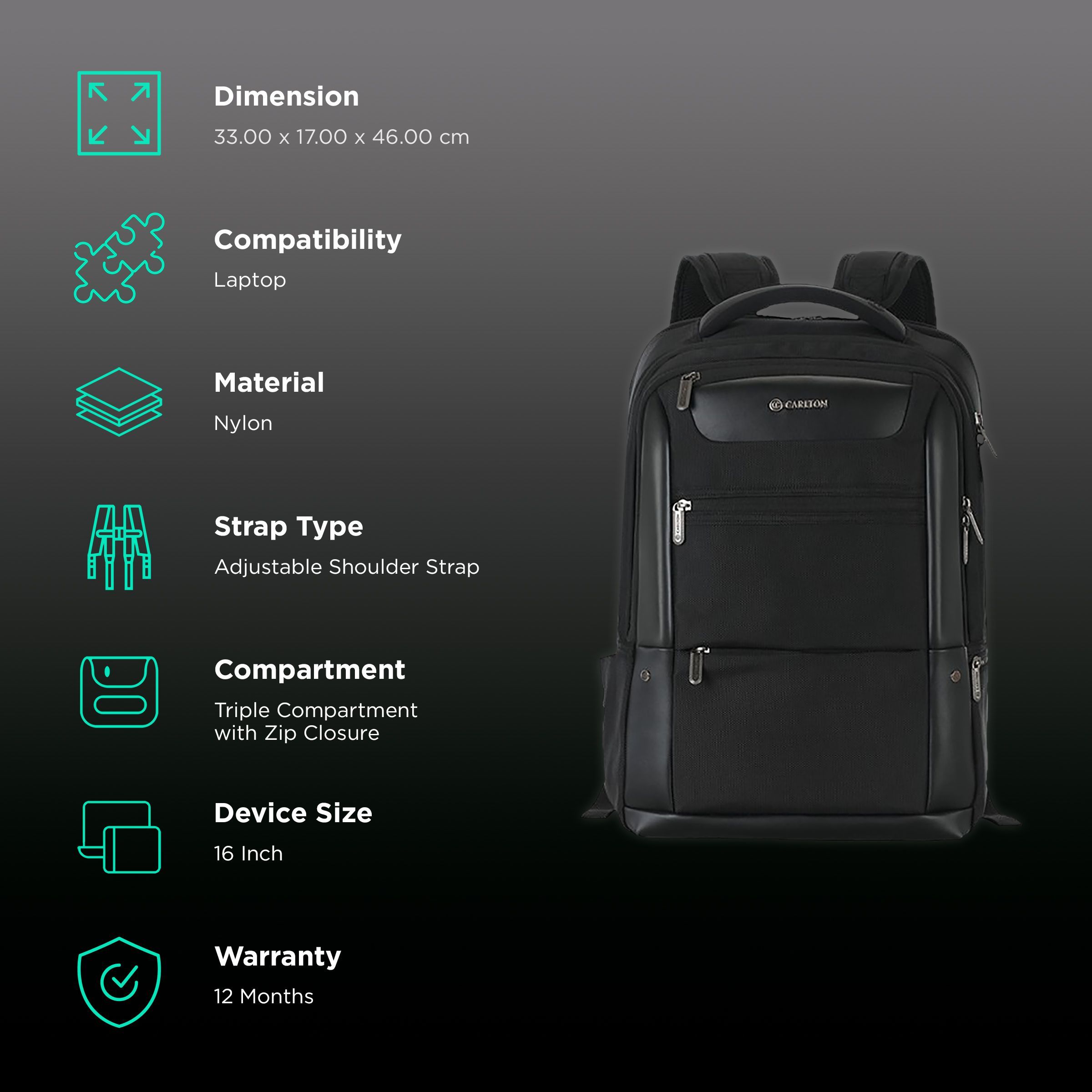 Carlton Hampshire 01 Nylon Laptop Backpack for 16 Inch Laptop (26 L, Ergo Foam Back, Ferrous Black)_2