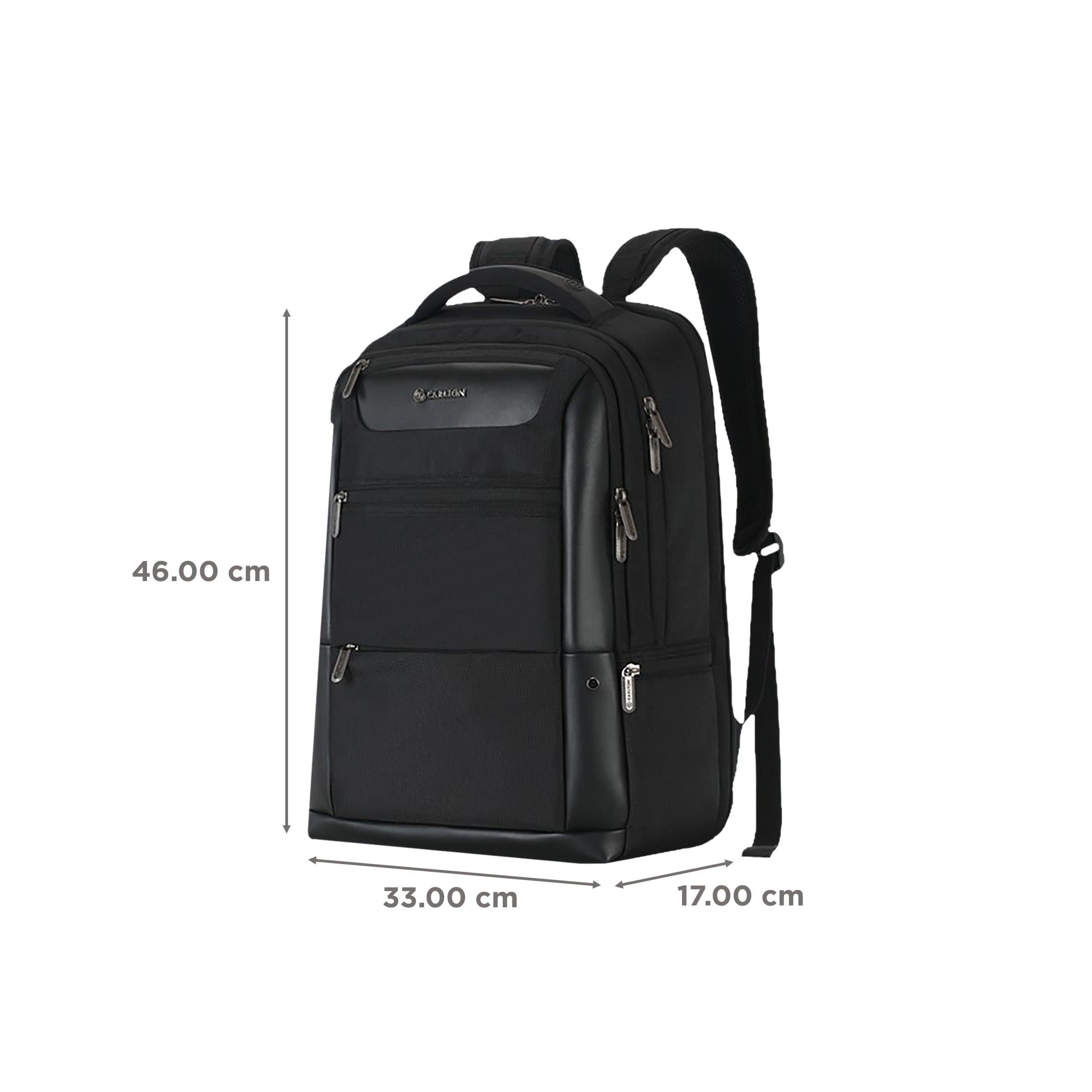 Carlton Hampshire 01 Nylon Laptop Backpack for 16 Inch Laptop (26 L, Ergo Foam Back, Ferrous Black)_3