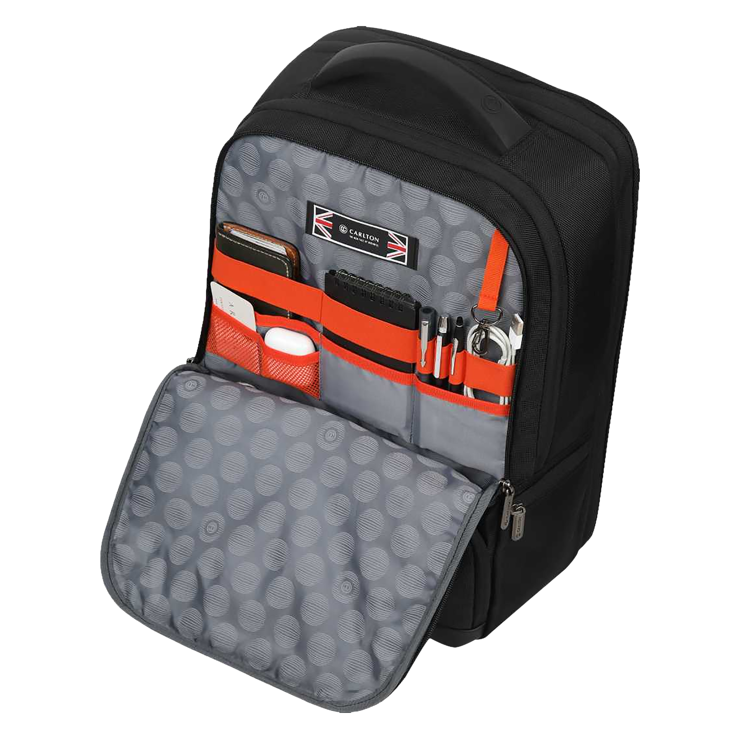 Carlton Hampshire 01 Nylon Laptop Backpack for 16 Inch Laptop (26 L, Ergo Foam Back, Ferrous Black)_4