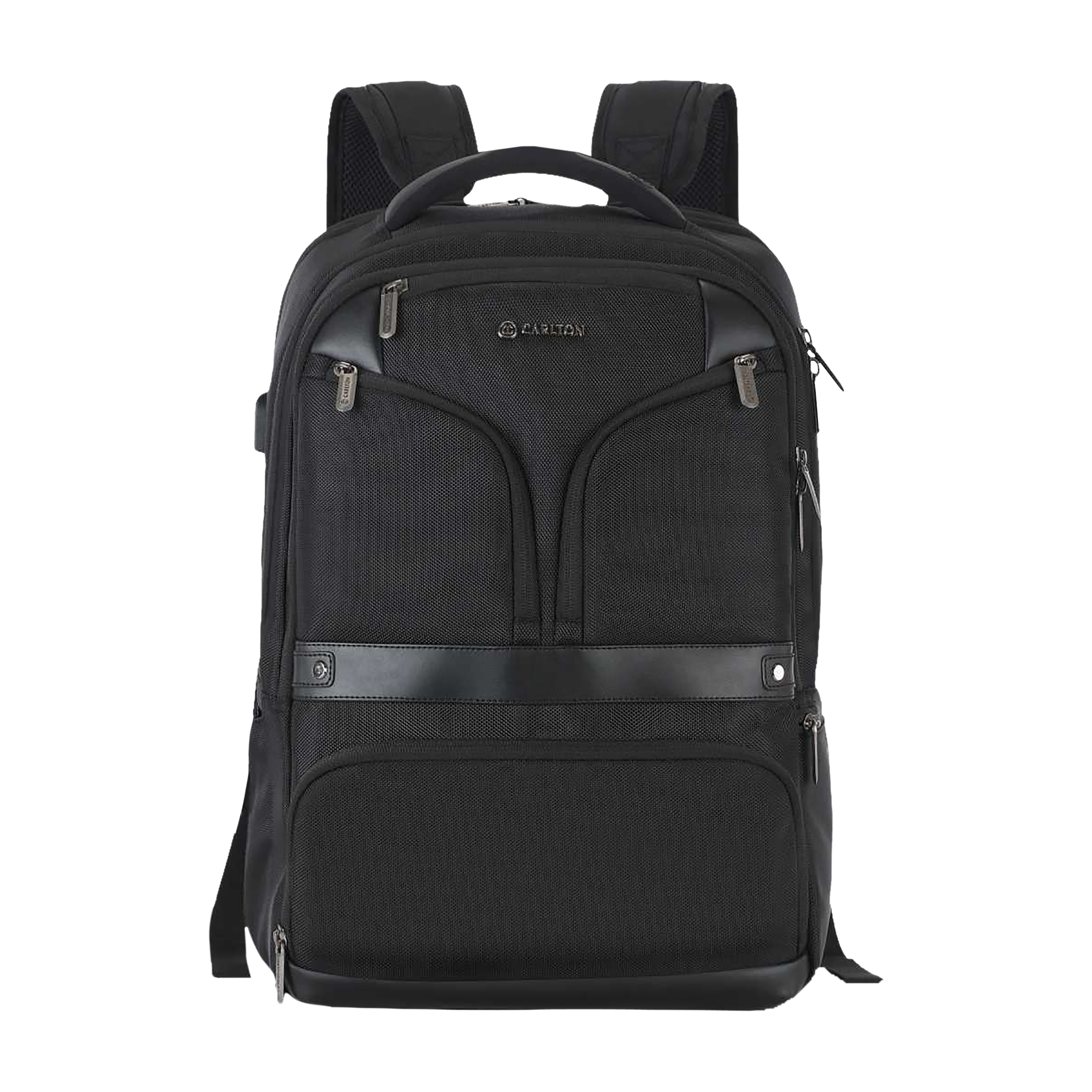 Carlton Hampshire 03 Nylon Laptop Backpack for 16 Inch Laptop (26 L, Ergo Foam Back, Ferrous Black)_1