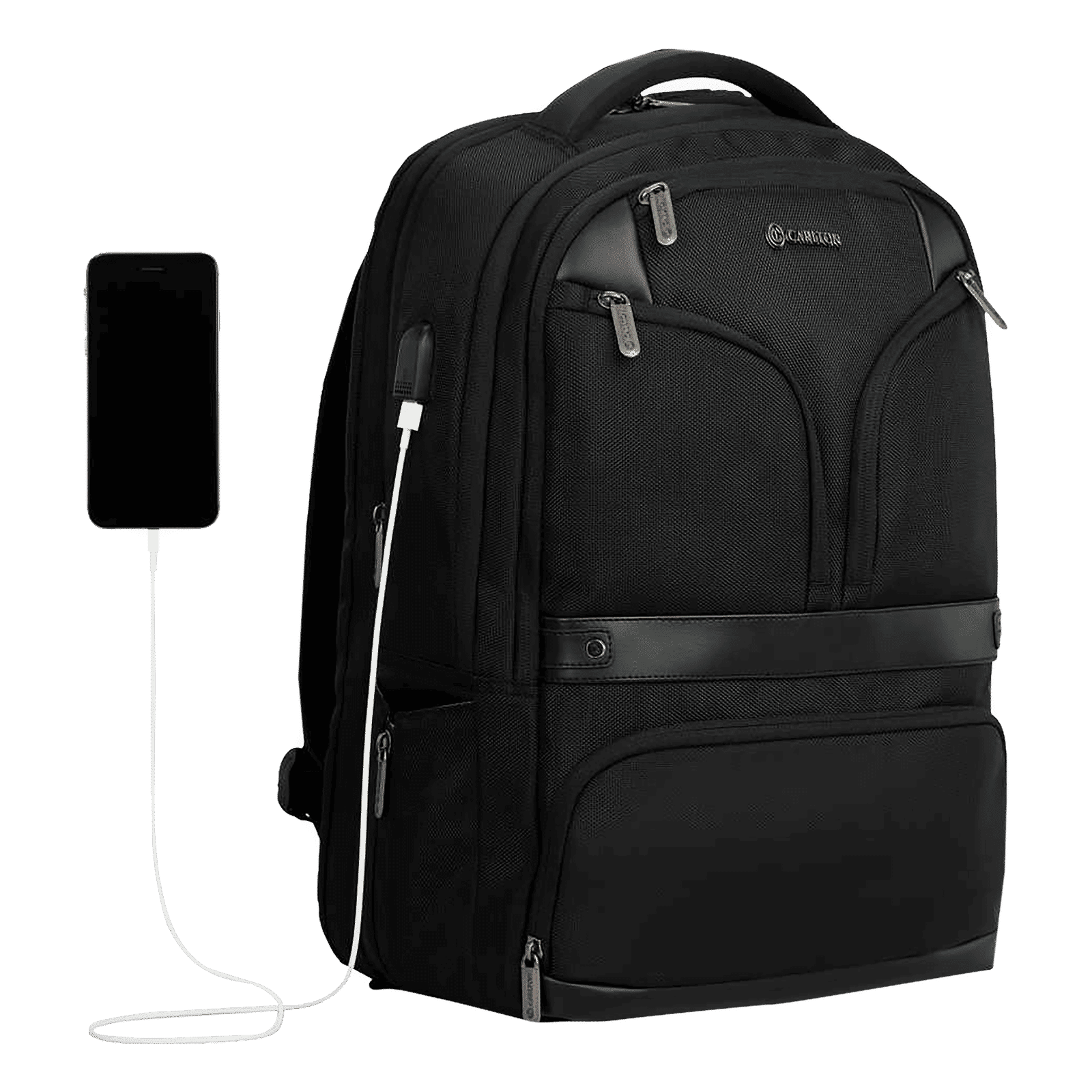 Carlton Hampshire 03 Nylon Laptop Backpack for 16 Inch Laptop (26 L, Ergo Foam Back, Ferrous Black)_7