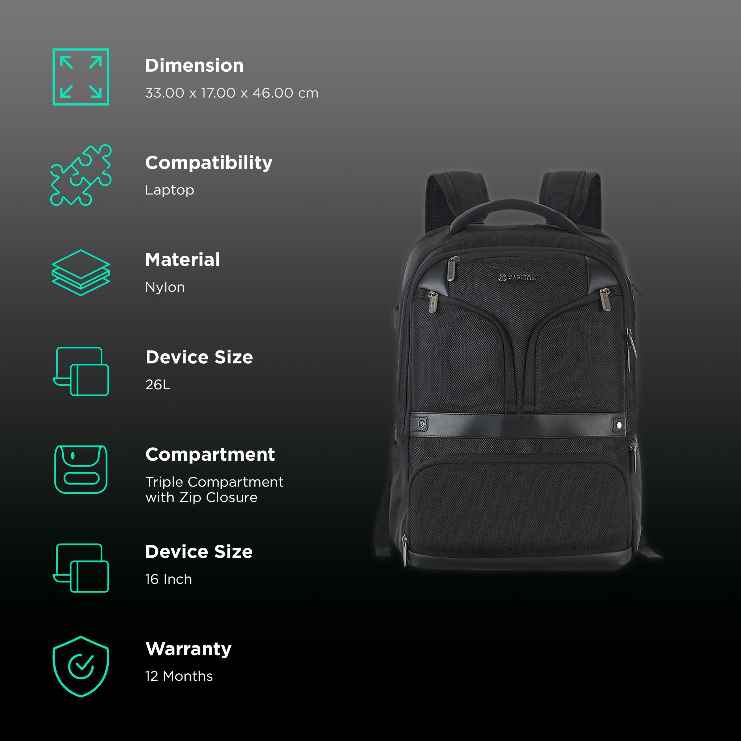 Carlton Hampshire 03 Nylon Laptop Backpack for 16 Inch Laptop (26 L, Ergo Foam Back, Ferrous Black)_2