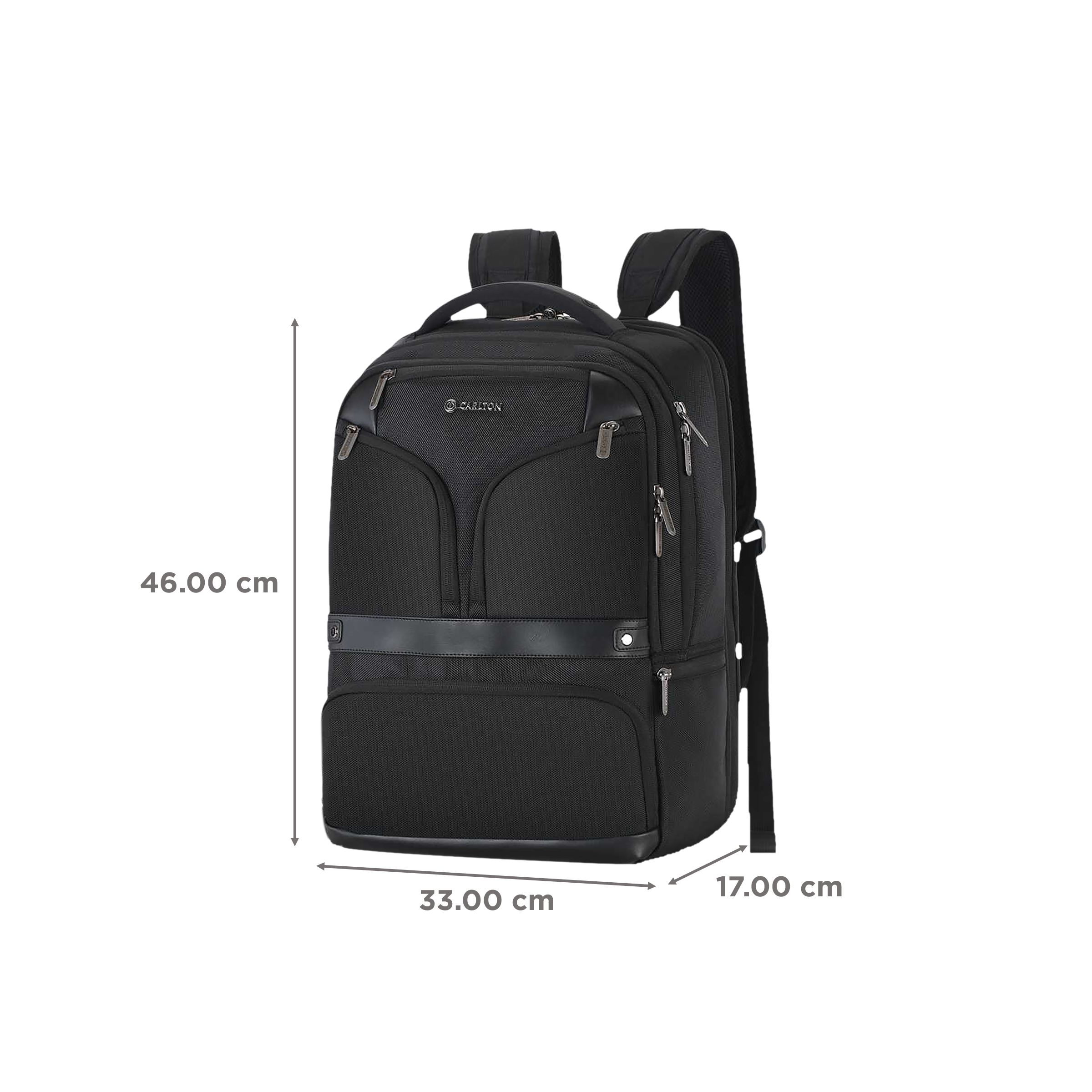 Carlton Hampshire 03 Nylon Laptop Backpack for 16 Inch Laptop (26 L, Ergo Foam Back, Ferrous Black)_3