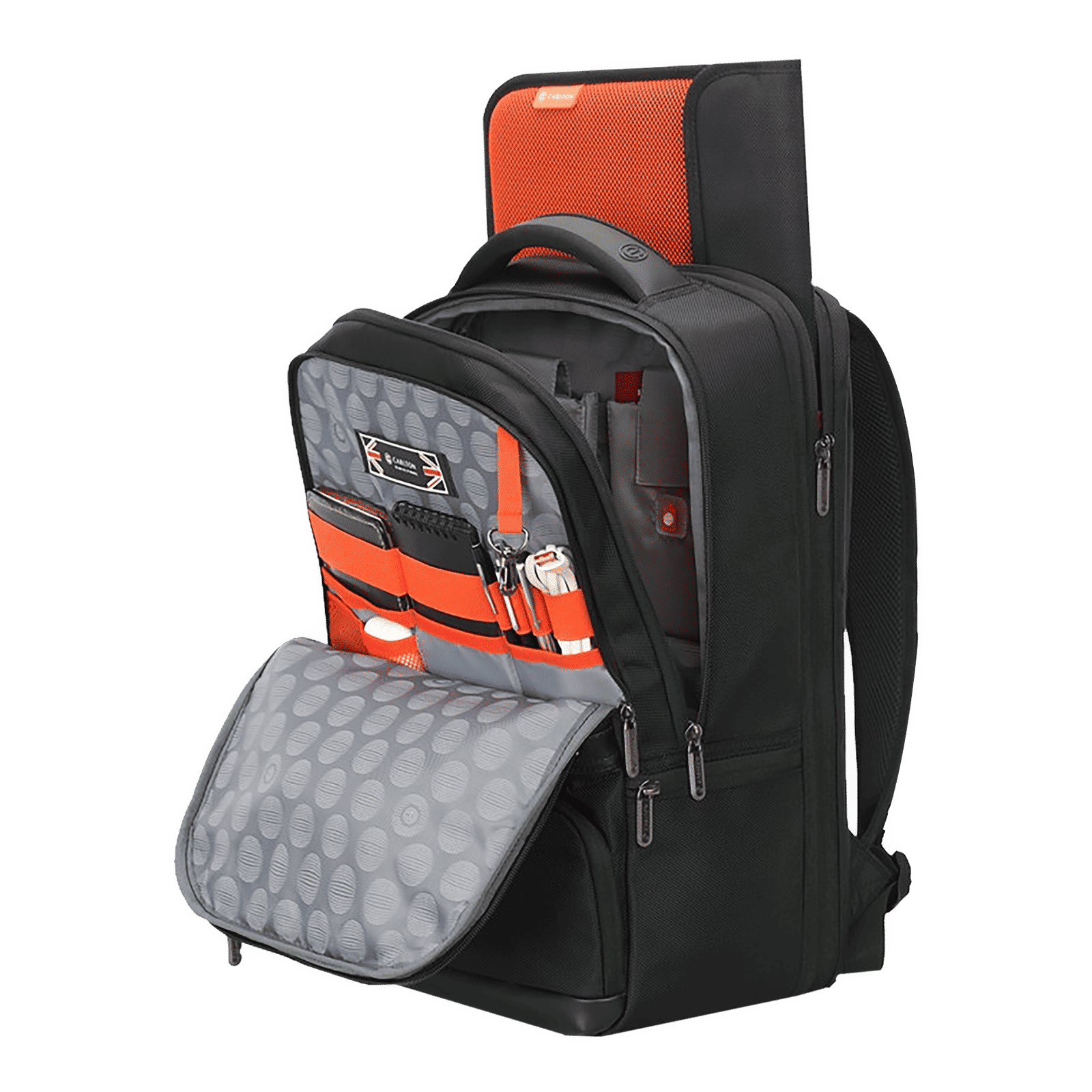 Carlton Hampshire 04 Nylon Laptop Backpack for 16 Inch Laptop (26 L, Ergo Foam Back, Prussian Blue)_4