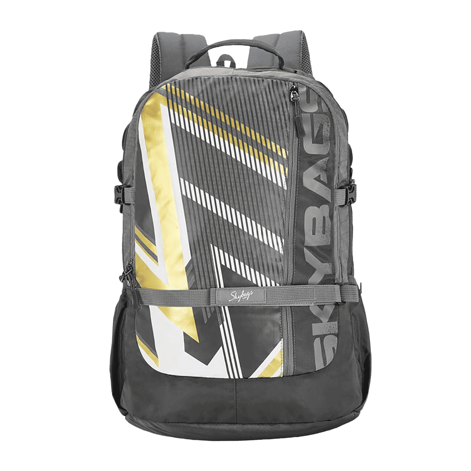 Skybags Campus Plus XL 01 Polyester Laptop Backpack for 17 Inch Laptop (33 L, With Rain Cover, Grey)_1