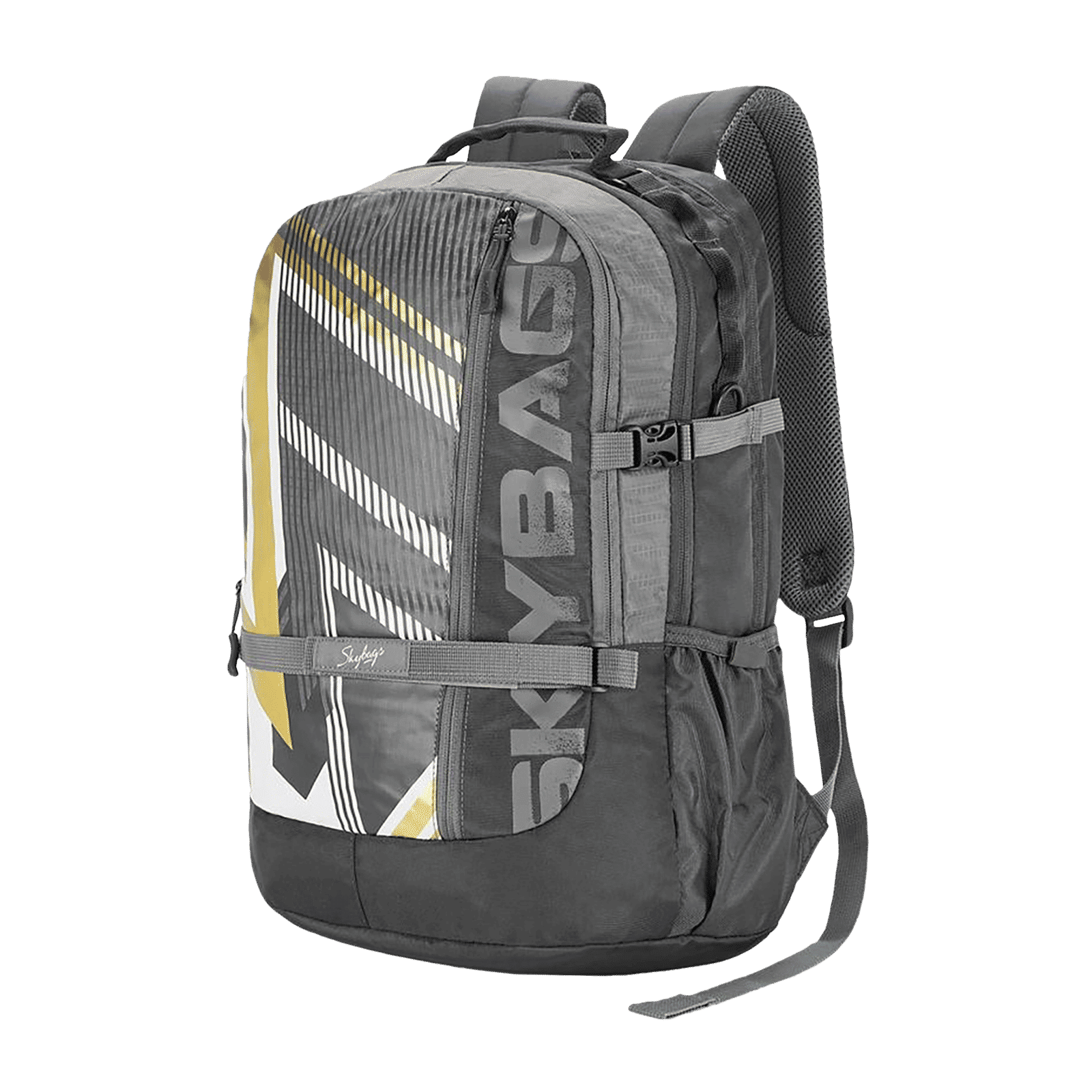 Skybags Campus Plus XL 01 Polyester Laptop Backpack for 17 Inch Laptop (33 L, With Rain Cover, Grey)_4