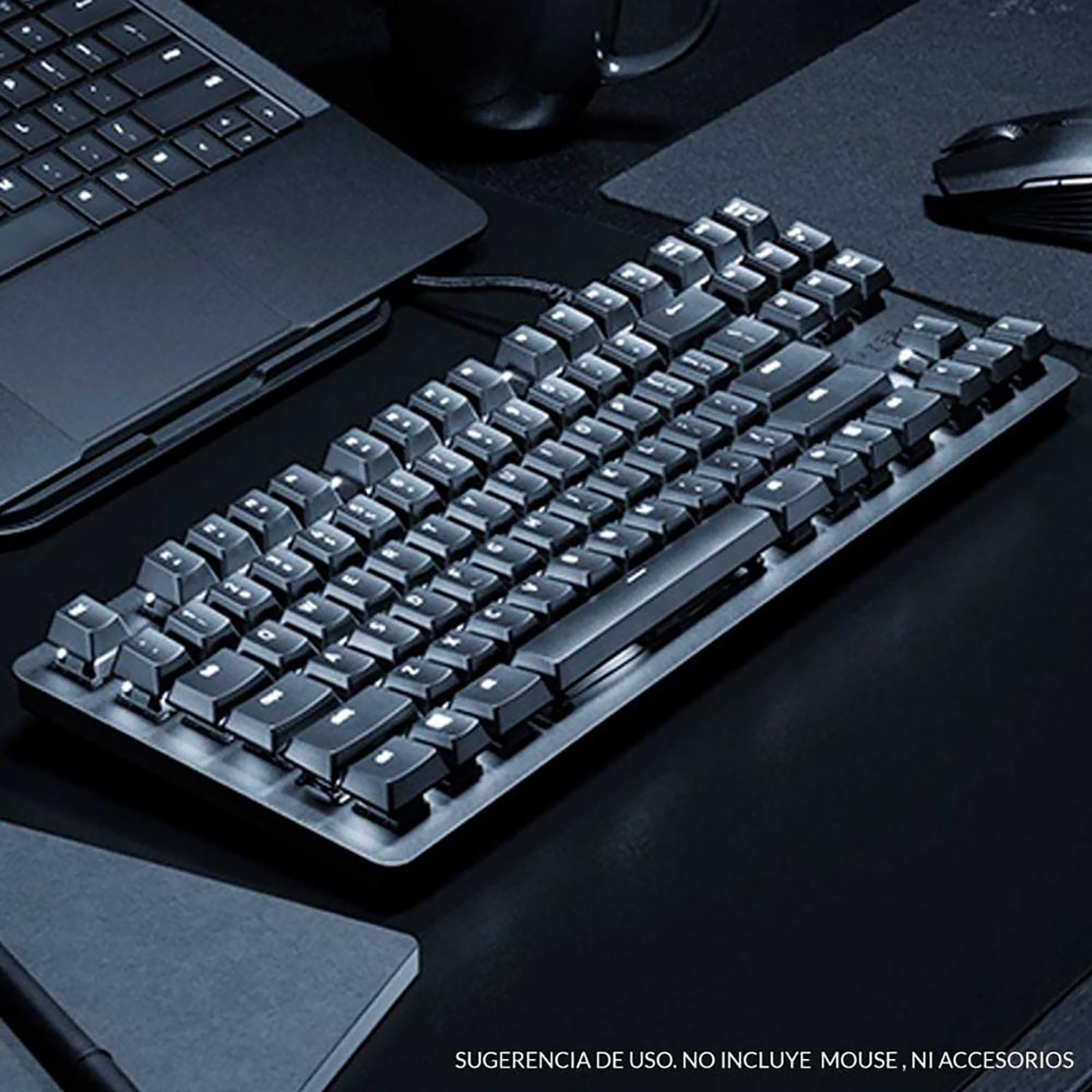 RAZER BlackWidow Lite Wired Gaming Keyboard (Orange Mechanical Switch, RZ03-02640200-R3U1, Black)_18