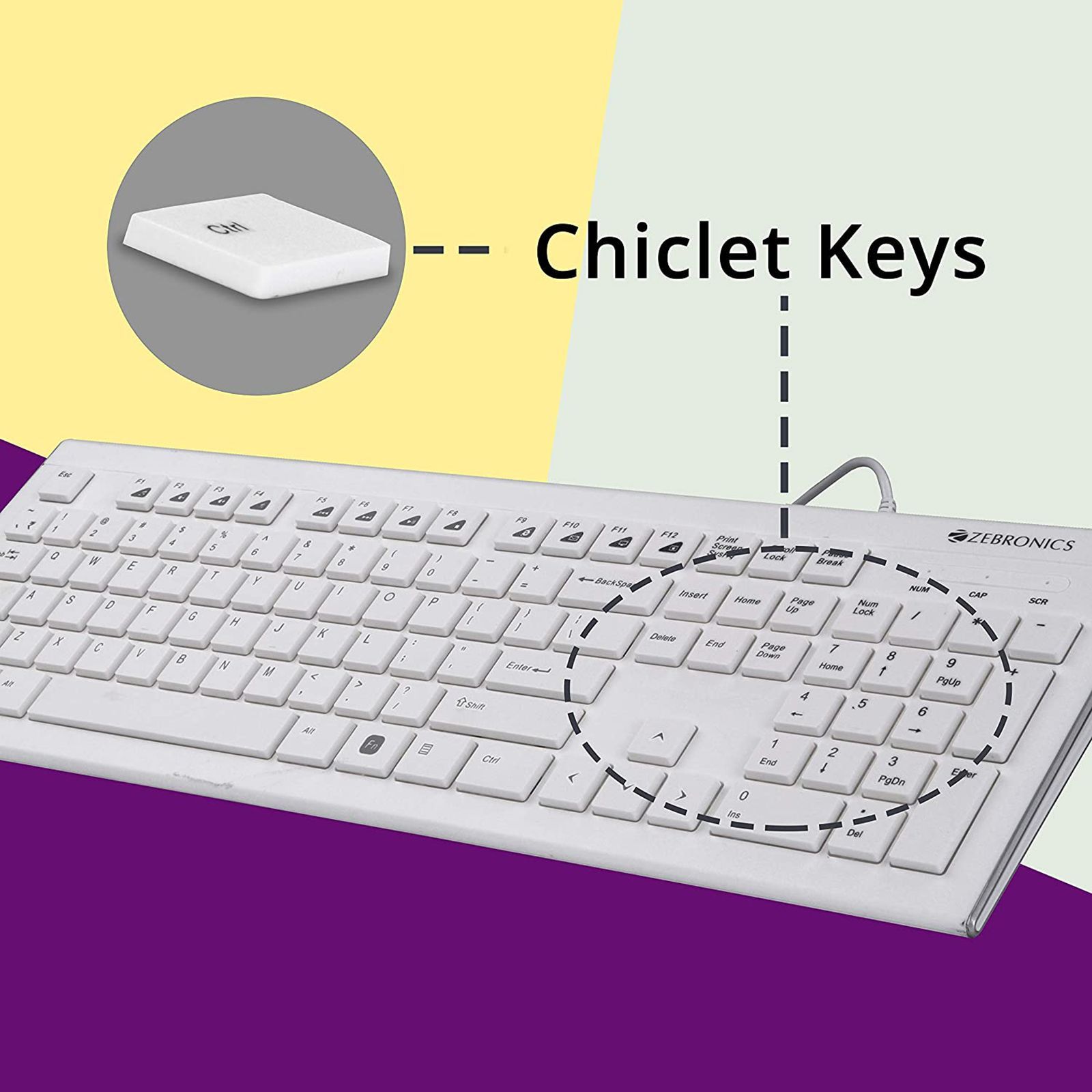 ZEBRONICS ZEB-DLK01 Wired Keyboard with Number Pad (UV Coated Keys, White)_11