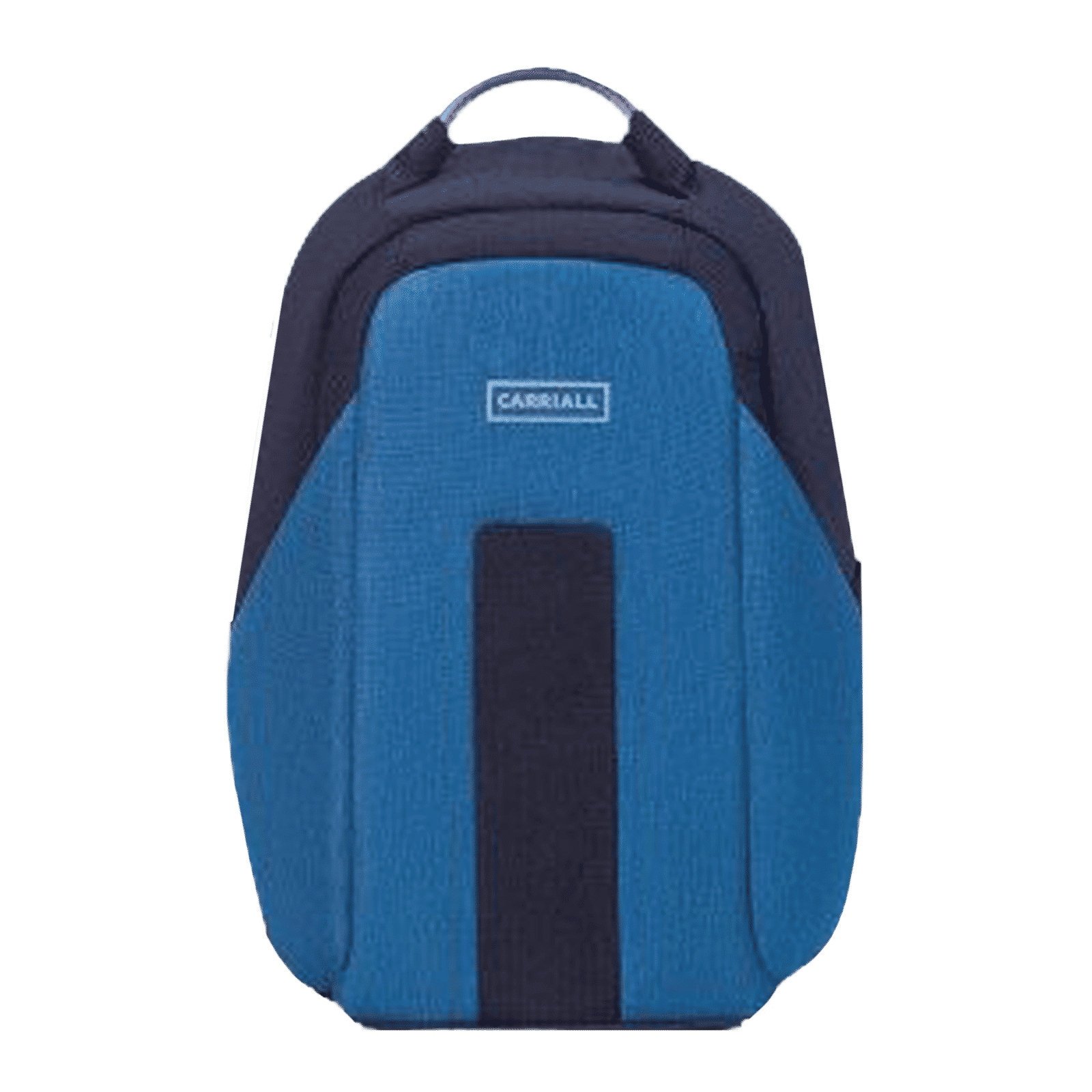 Carriall Vasco Polyester Laptop Backpack(21.1 L, USB Charging Port, Blue)_1
