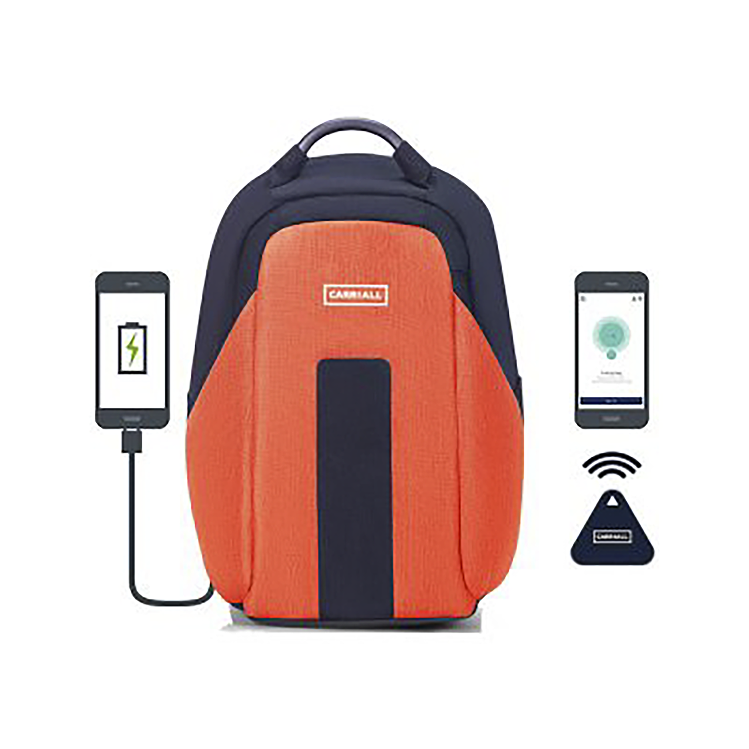 Carriall Vasco Polyester Laptop Backpack(21.1 L, USB Charging Port, Blue)_8