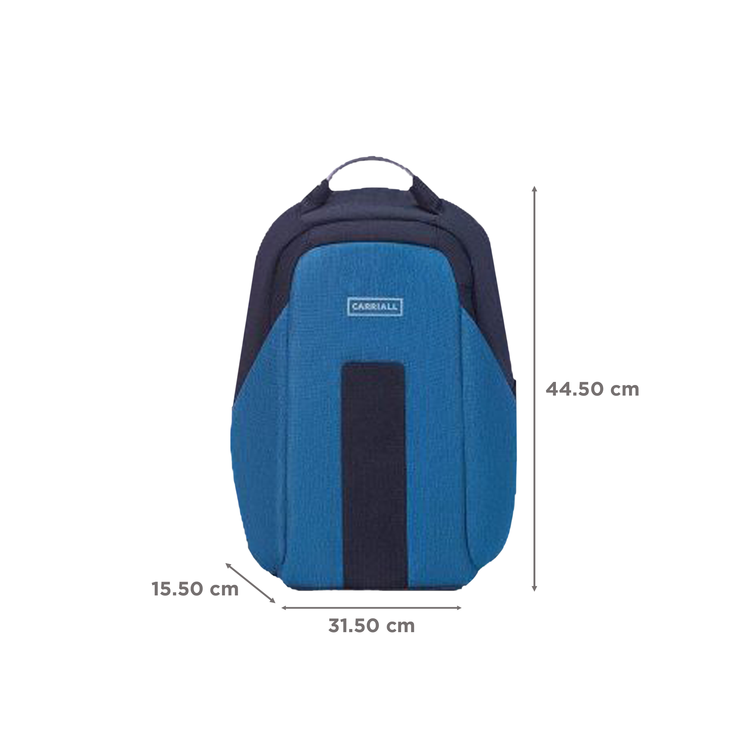 Carriall Vasco Polyester Laptop Backpack(21.1 L, USB Charging Port, Blue)_3