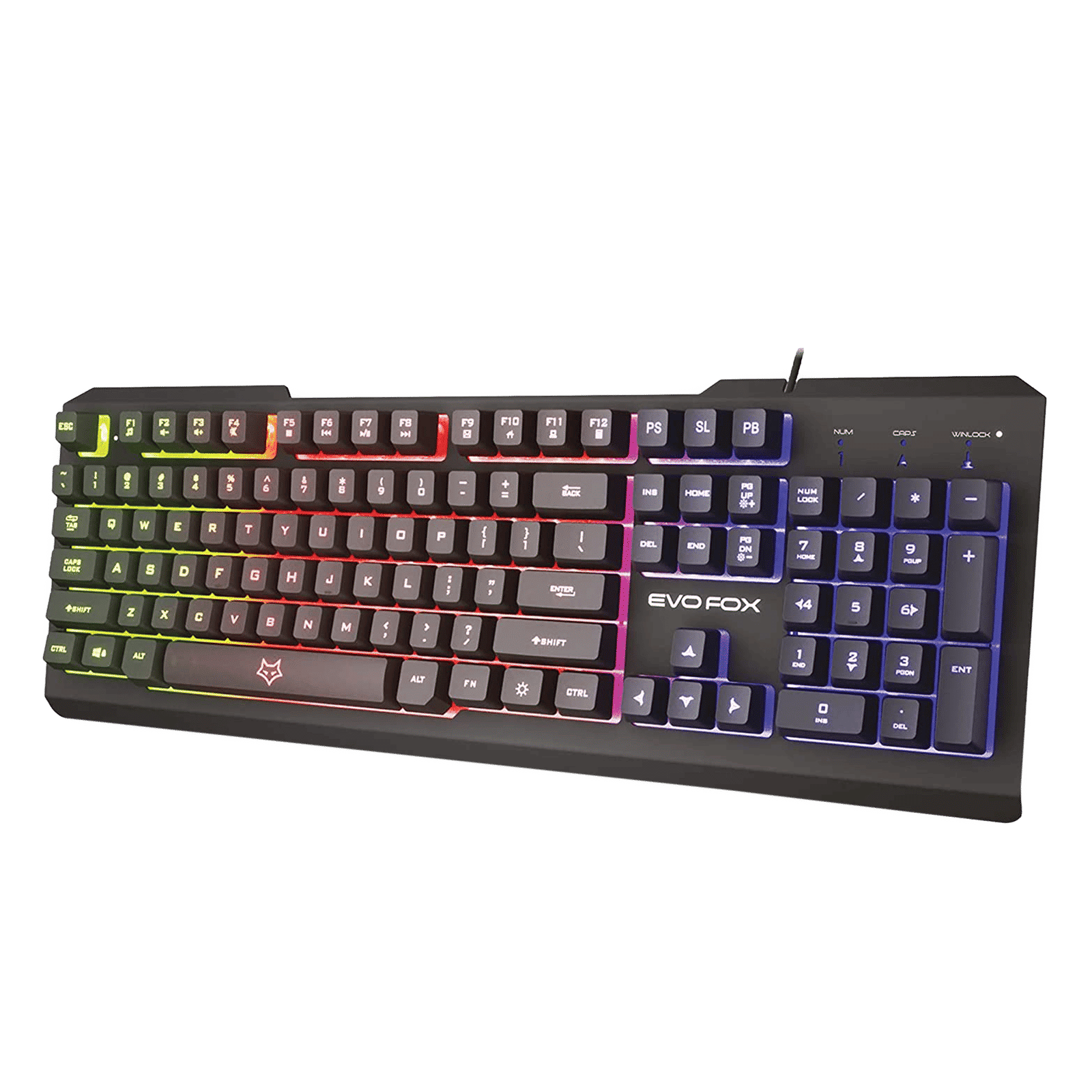 AMKETTE EvoFox Warhammer Wired Gaming Keyboard with Backlit Keys (19 Anti Ghosting Keys, Black)_1