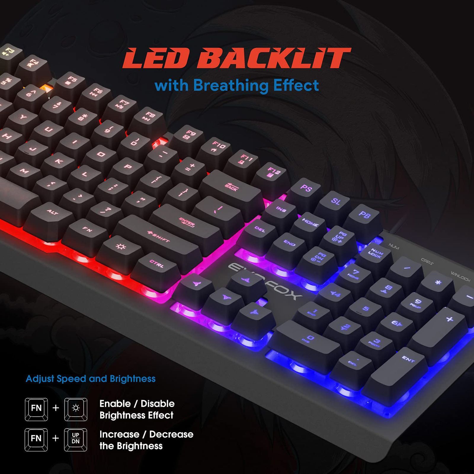 AMKETTE EvoFox Warhammer Wired Gaming Keyboard with Backlit Keys (19 Anti Ghosting Keys, Black)_8