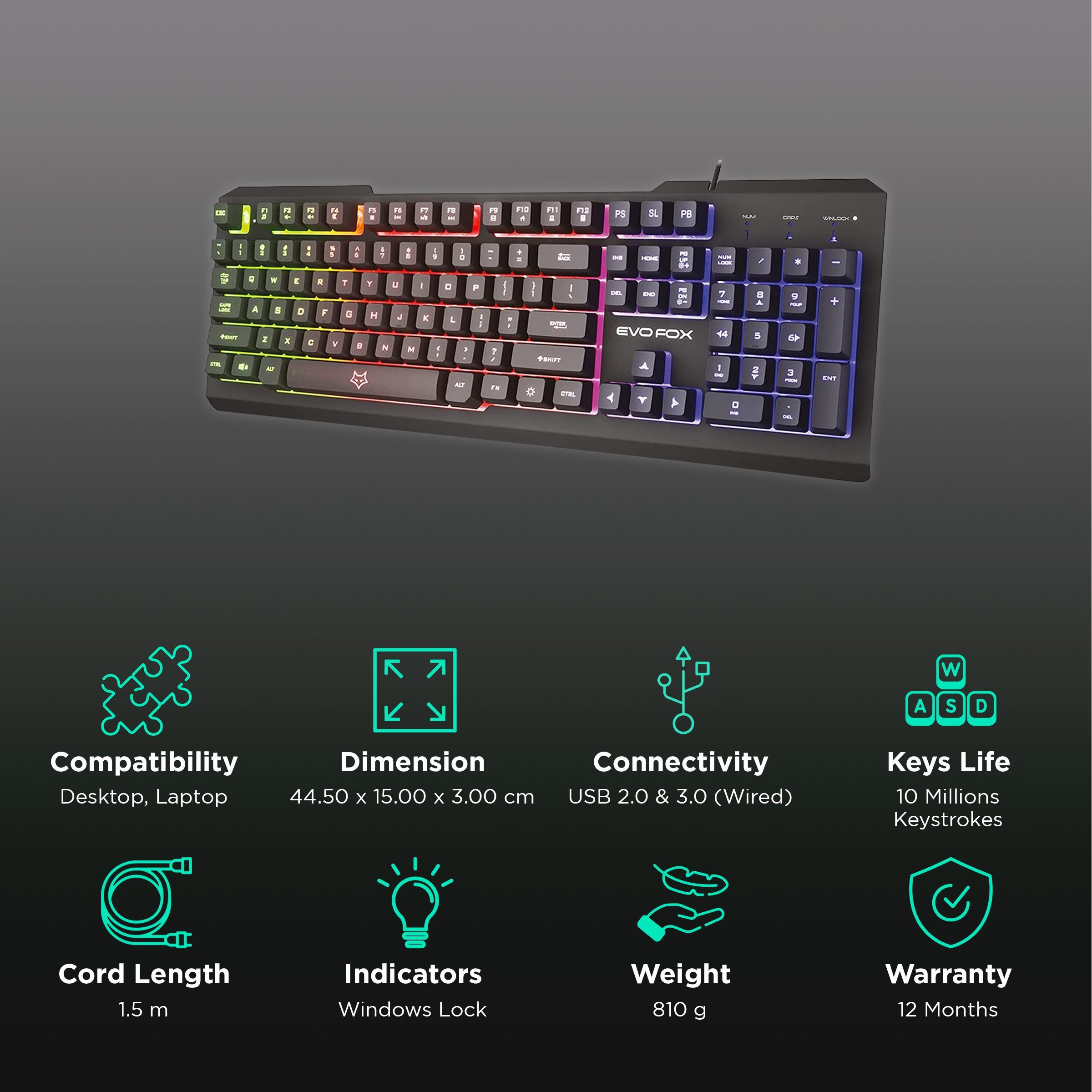AMKETTE EvoFox Warhammer Wired Gaming Keyboard with Backlit Keys (19 Anti Ghosting Keys, Black)_2