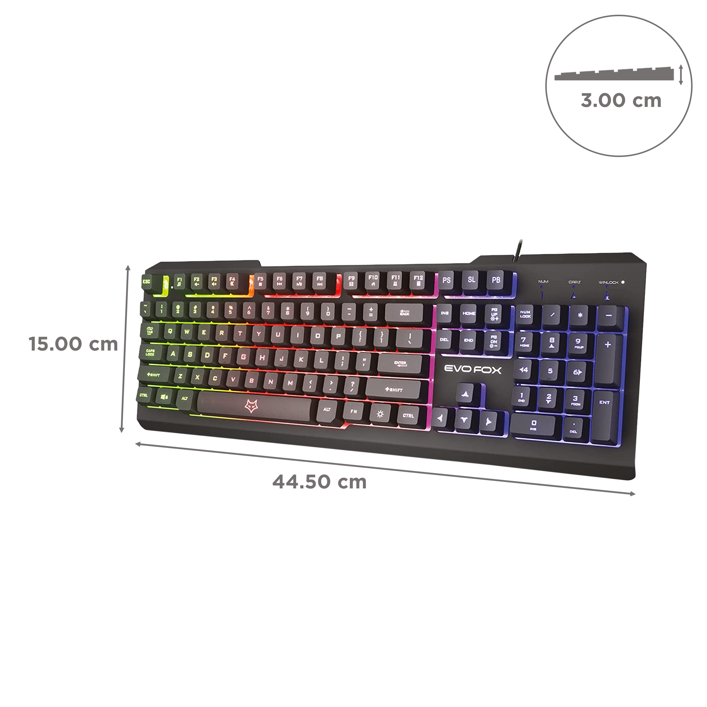 AMKETTE EvoFox Warhammer Wired Gaming Keyboard with Backlit Keys (19 Anti Ghosting Keys, Black)_3