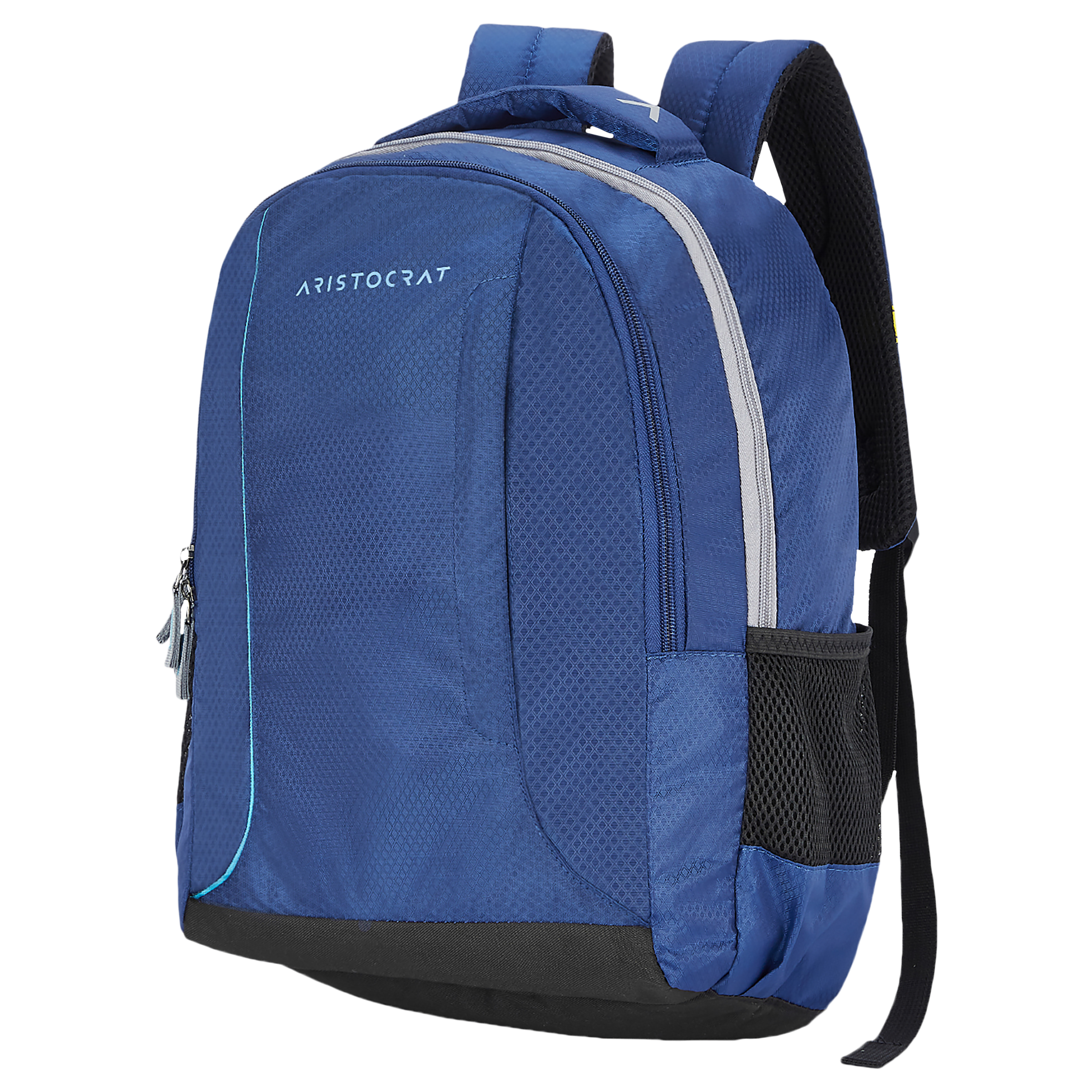 ARISTOCRAT AMP Polyester Laptop Backpack for 17 Inch Laptop (26 L, Foam Padded Grab Handle, Blue)_9