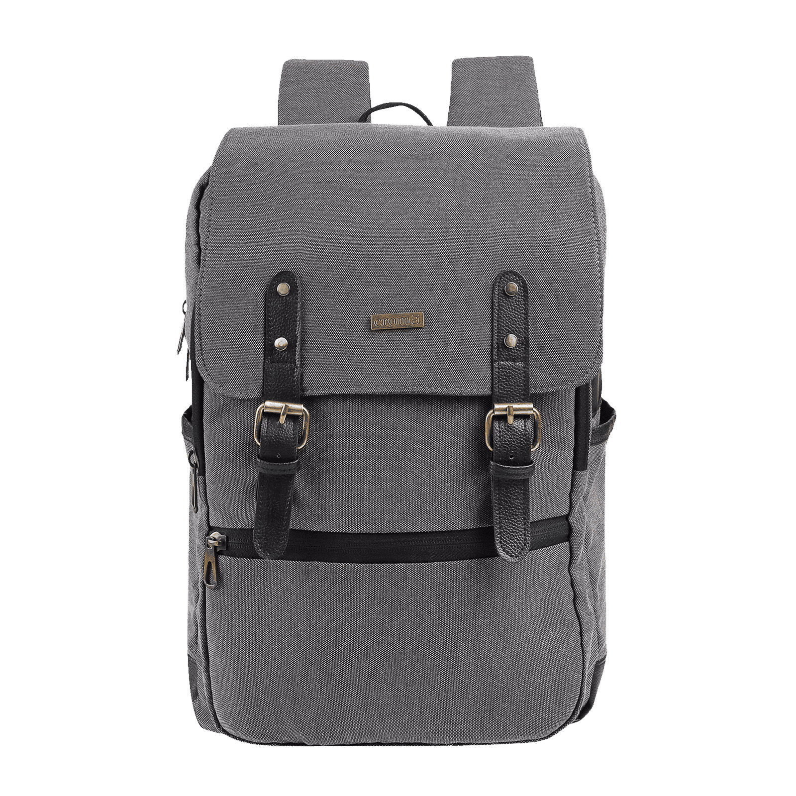 Croma Backpack (Water Resistant, Grey)_1