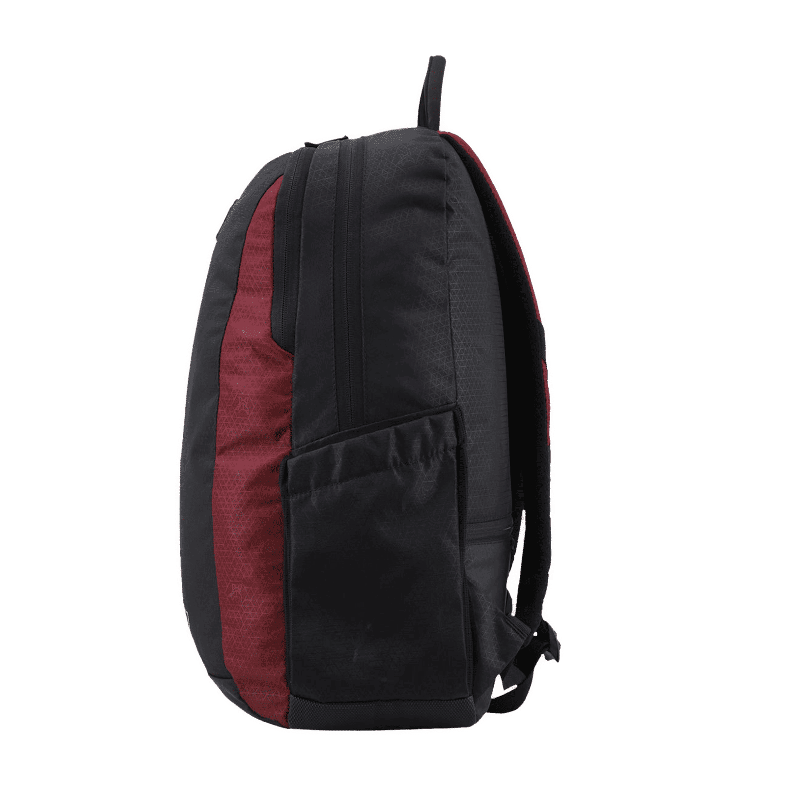 Arctic Fox Pump Polyester Laptop Backpack for 15.5 Inch Laptop (29 L, Water Repellent Fabric, Tawny Port)_6