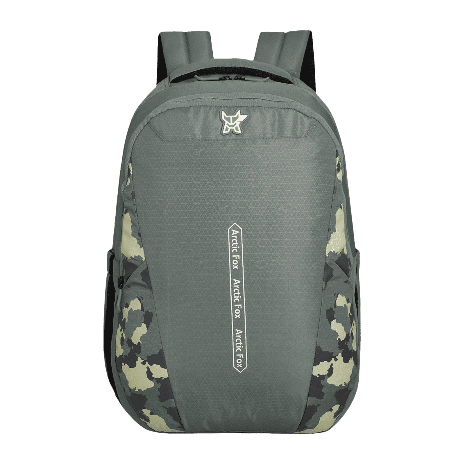 Arctic Fox Dare 38 Litres Fabric Backpack (Rain Cover, FTEBPKOLVWW056038, Sea Spray)_1