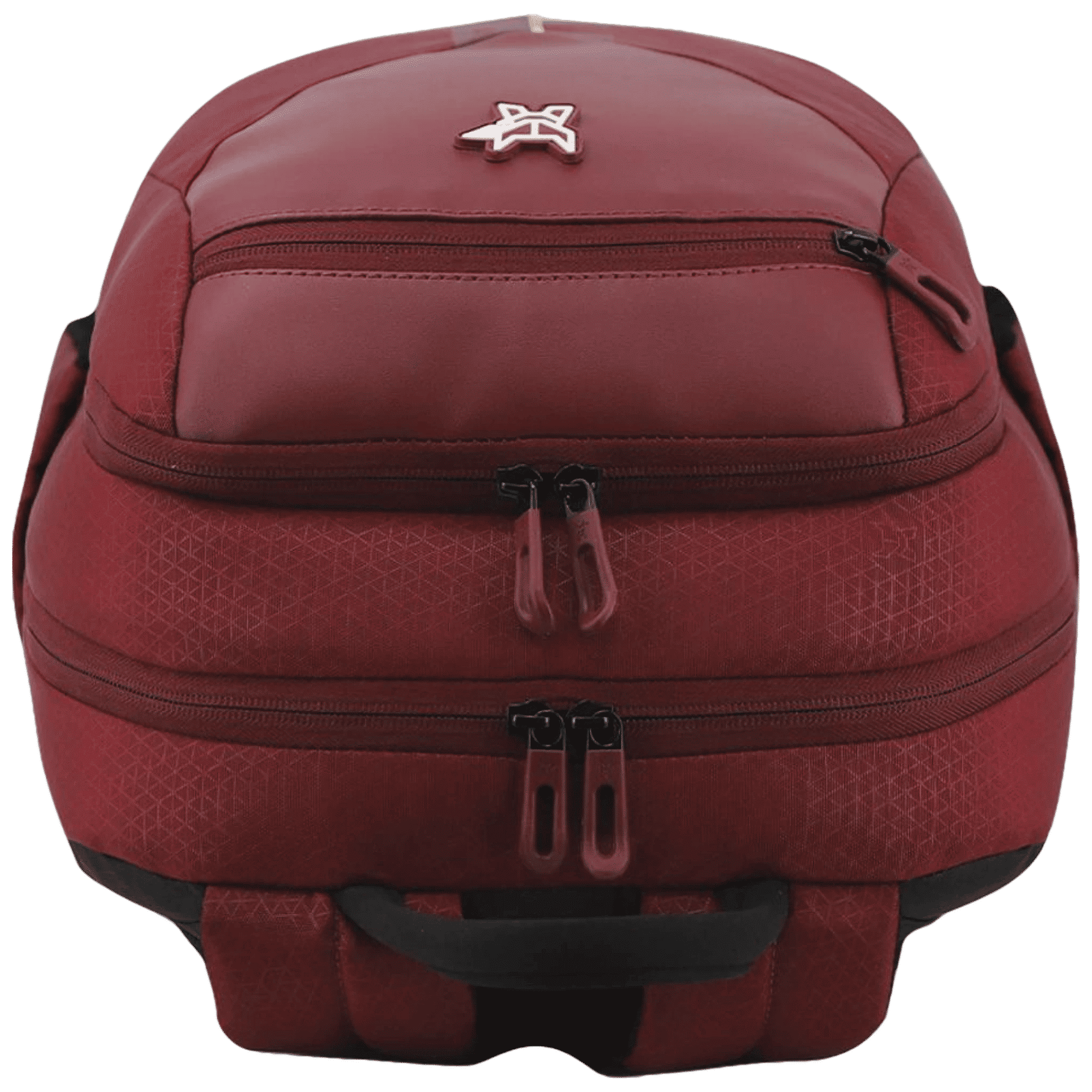 Arctic Fox Honor Polyester Laptop Backpack for 15.5 Inch Laptop (35 L, Adjustable Straps, Tawny Port)_8