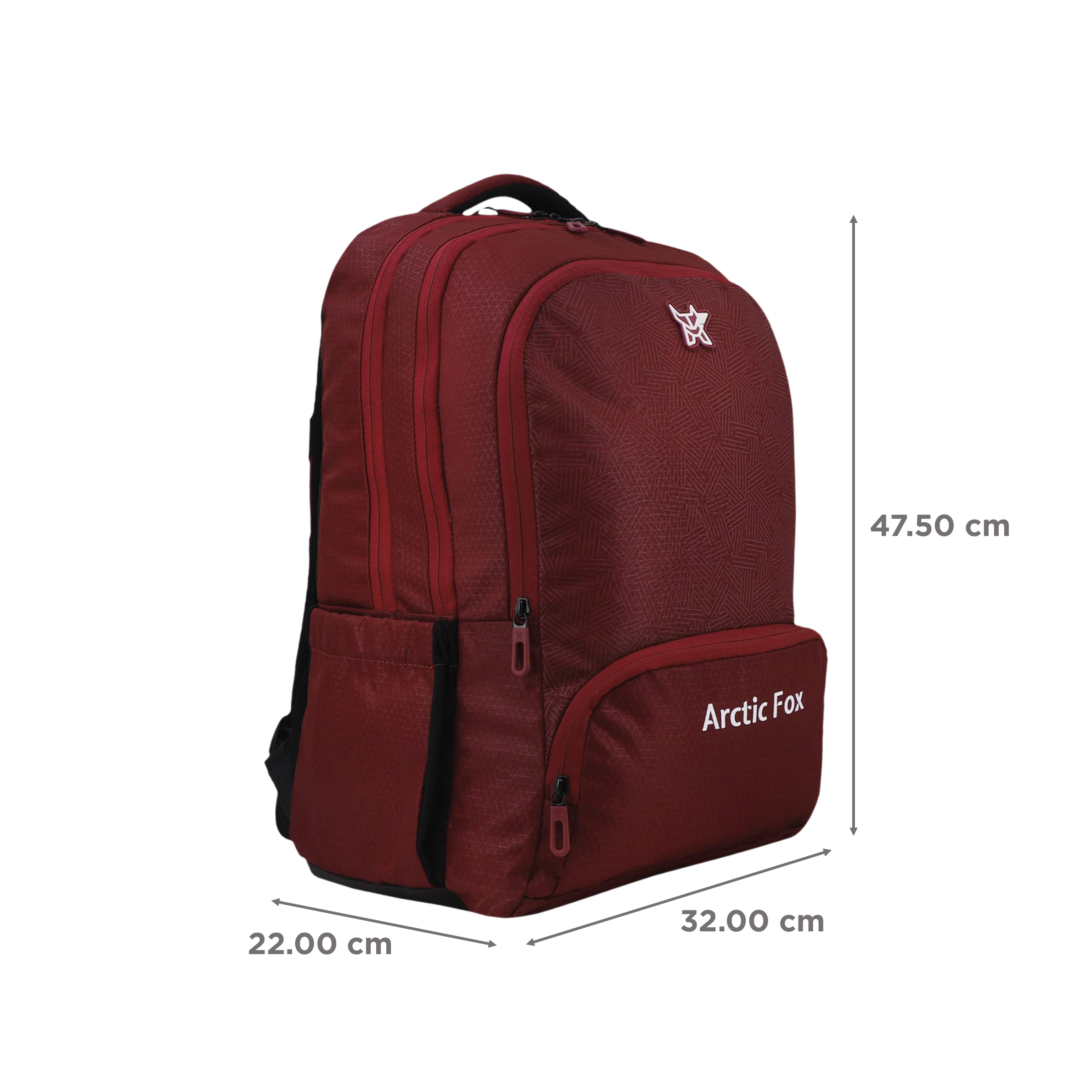 Arctic Fox Tic Tac 34 Litres Polyester Backpack (Water Bottle Pouch, FTEBPKTPOWW105034, Tawny Port)_3