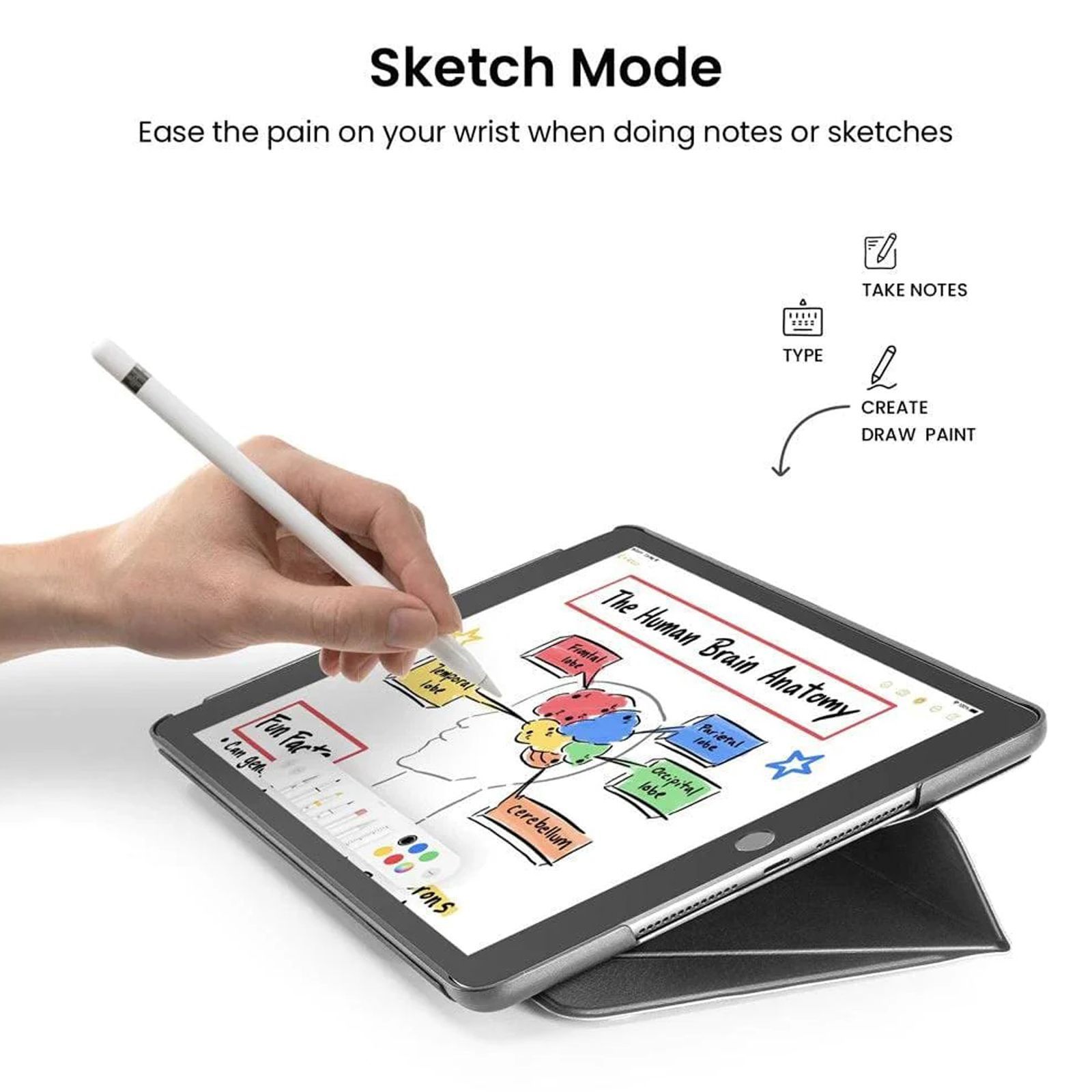 tomtoc Polyurethane & TPU Flip Case for Apple iPad 10.2 Inch (Scratch Resistant, Black)_4