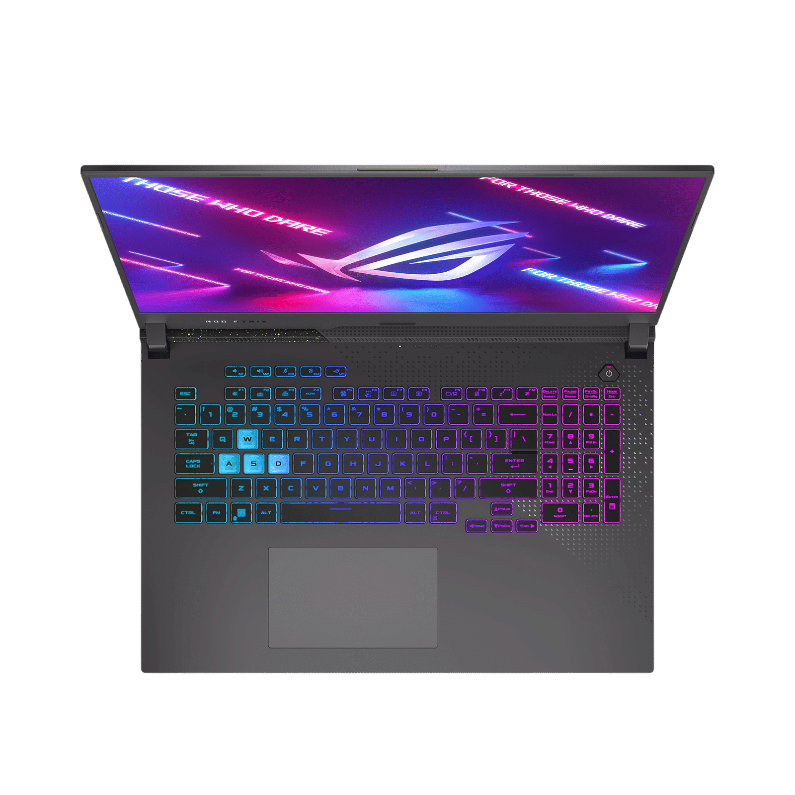 ASUS ROG Strix G17 G713RW-LL111WS AMD Ryzen 9 (17.3 inch, 16GB, 1TB, Windows 11 Home, Office Home and Student, NVIDIA GeForce RTX 3070 Ti Graphics, WQHD IPS Display, Eclipse Gray, 90NR08H4-M005W0)_8