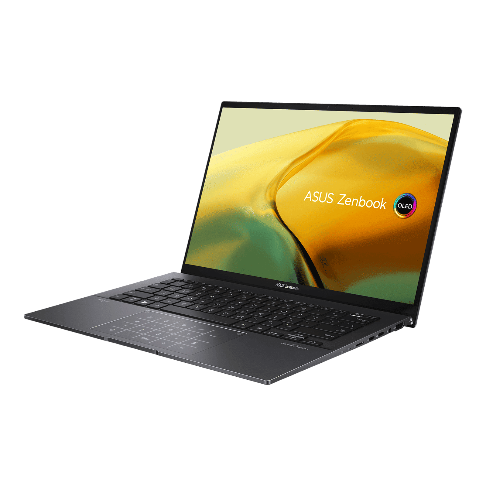 ASUS AMD Ryzen 5 (14 inch, 16GB, 1TB, Windows 11 Home, MS Office 2021, AMD Radeon, OLED Display, Jade Black, UM3402YA-KM551WS)_4