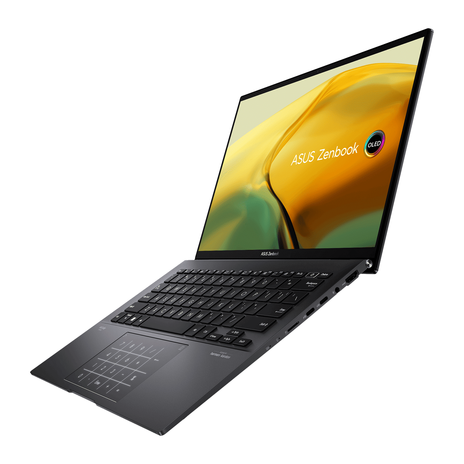 ASUS AMD Ryzen 5 (14 inch, 16GB, 1TB, Windows 11 Home, MS Office 2021, AMD Radeon, OLED Display, Jade Black, UM3402YA-KM551WS)_9