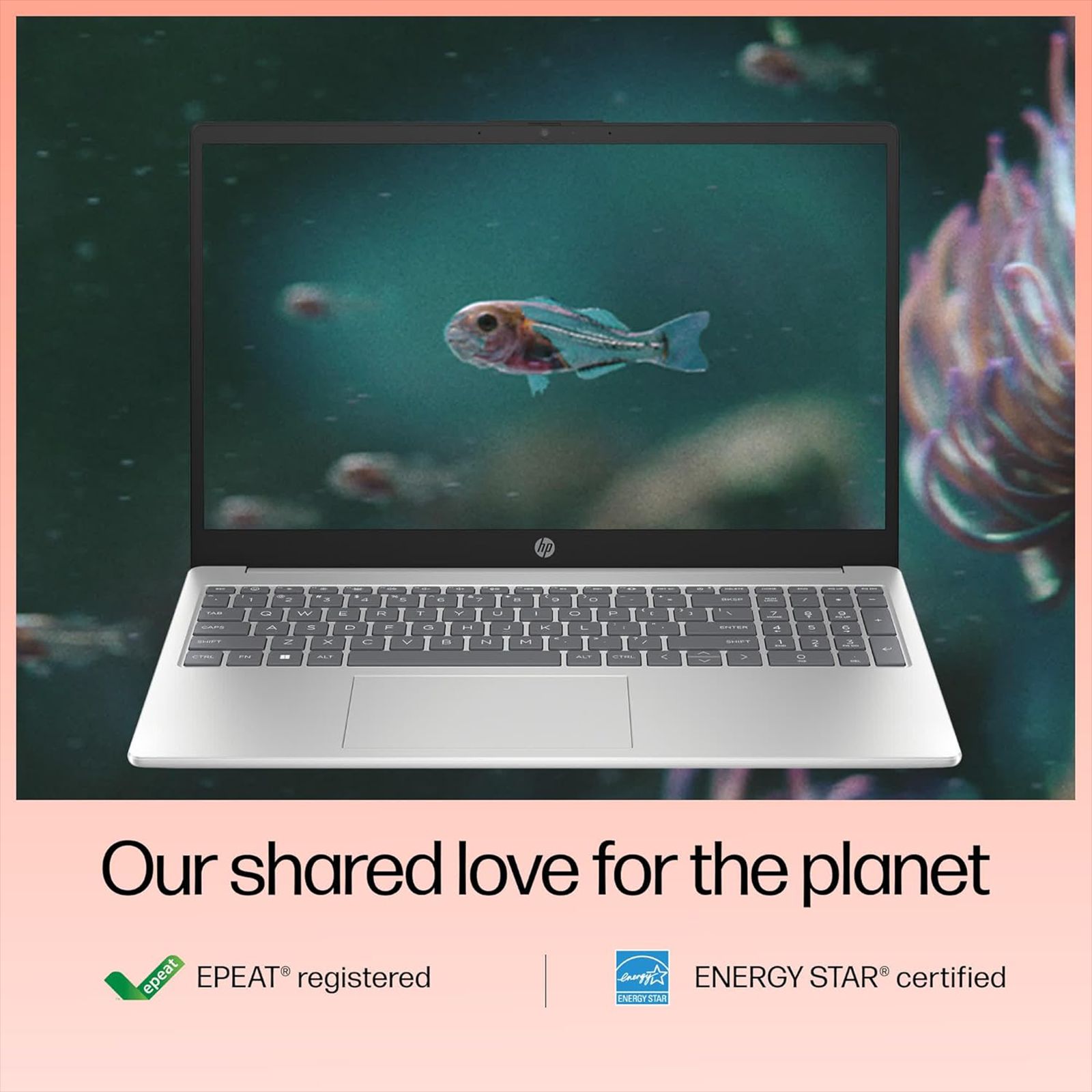 HP 15-fd0492TU Intel Core i5 13th Gen Thin & Light Laptop (16GB, 512GB SSD, Windows 11 Home, 15.6 inch Full HD Display, MS Office 2021, Natural Silver, 1.59 KG) HP 15-fd0492TU Intel Core i5 13th Gen Thin & Light Laptop (16GB, 512GB SSD, Windows 11 Home, 15.6 inch Full HD Display, MS Office 2021, Natural Silver, 1.59 KG)_10